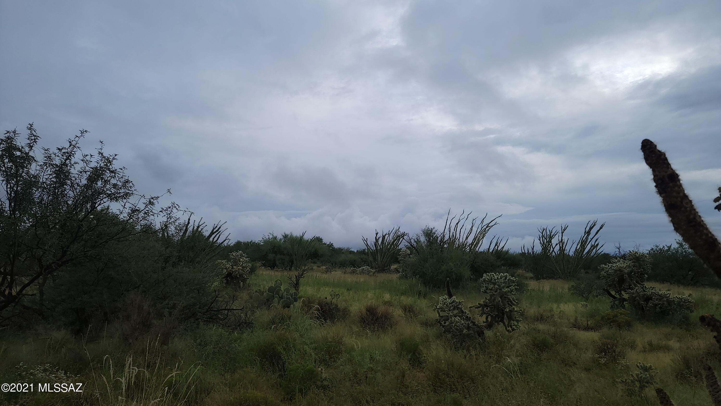 Diamond Bell Ranch - Tucson Unit 8 (1-385) - Land