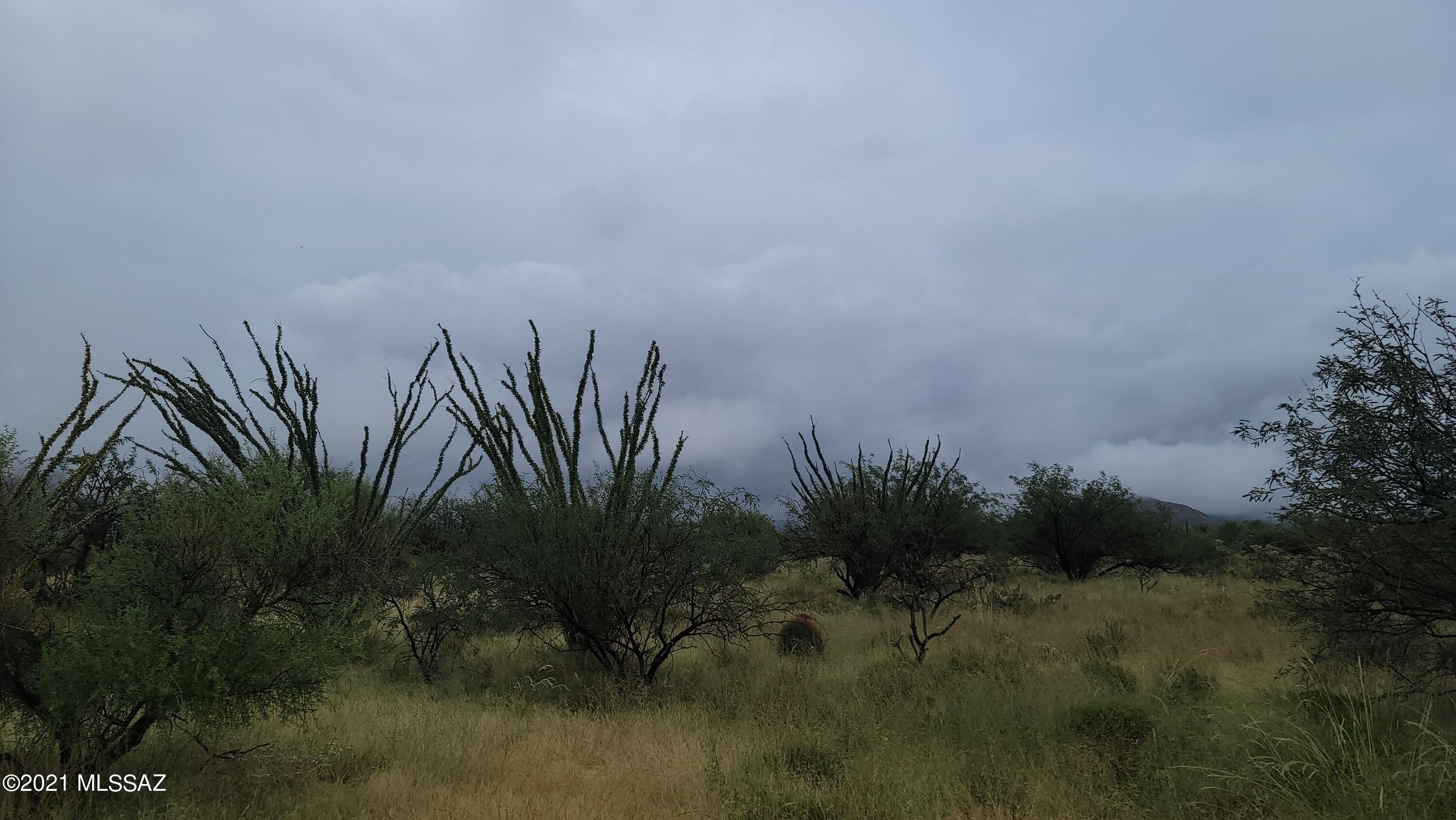Diamond Bell Ranch - Tucson Unit 8 (1-385) - Land