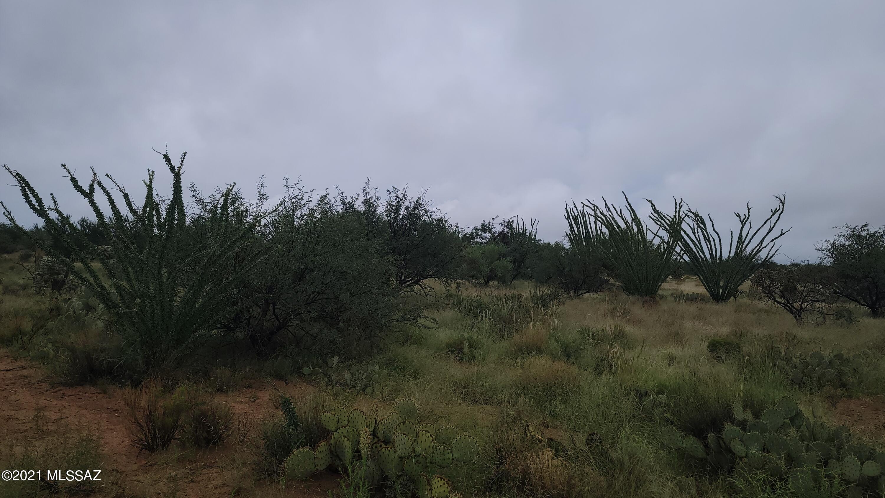 Diamond Bell Ranch - Tucson Unit 8 (1-385) - Land