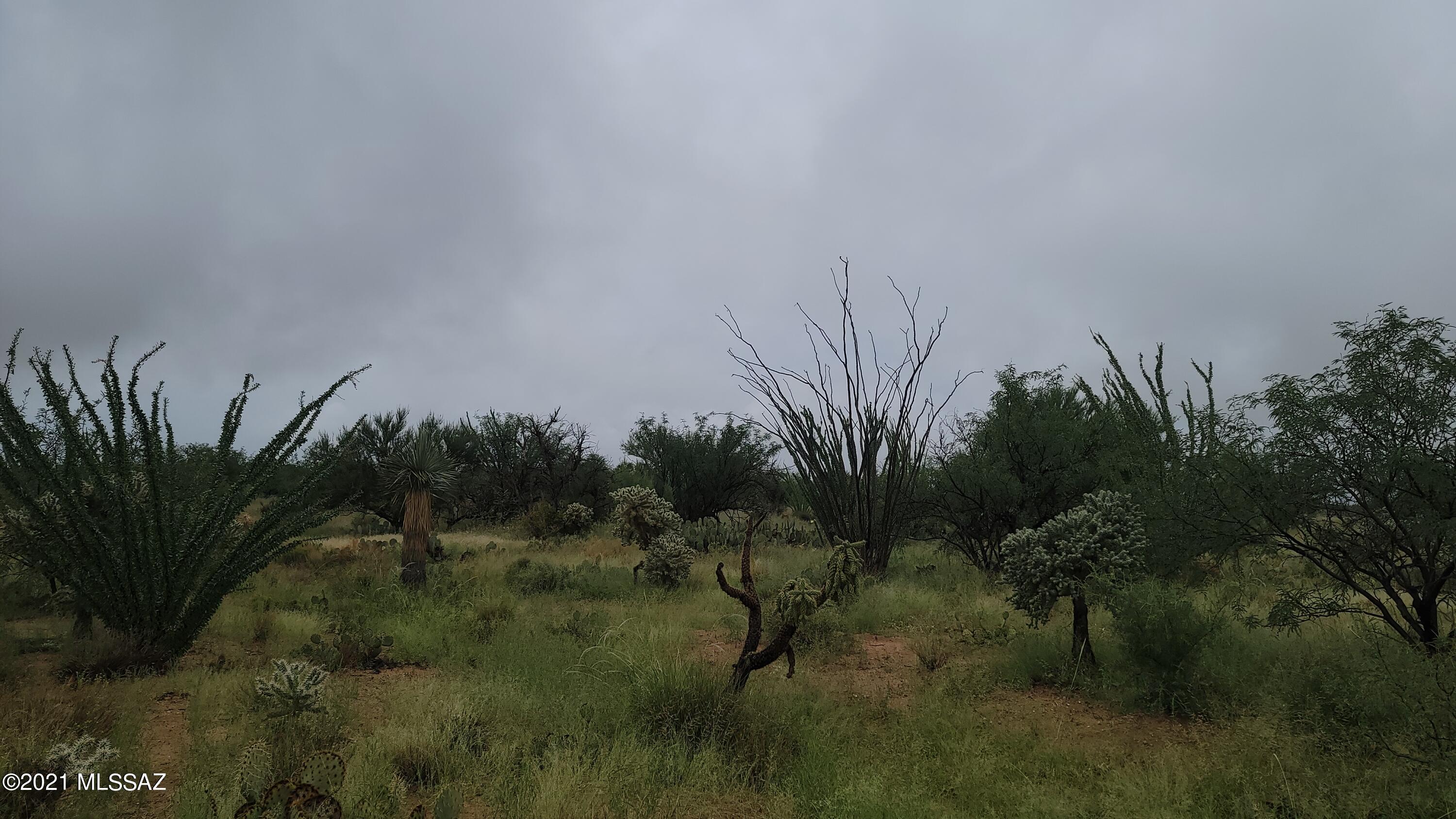 Diamond Bell Ranch - Tucson Unit 8 (1-385) - Land