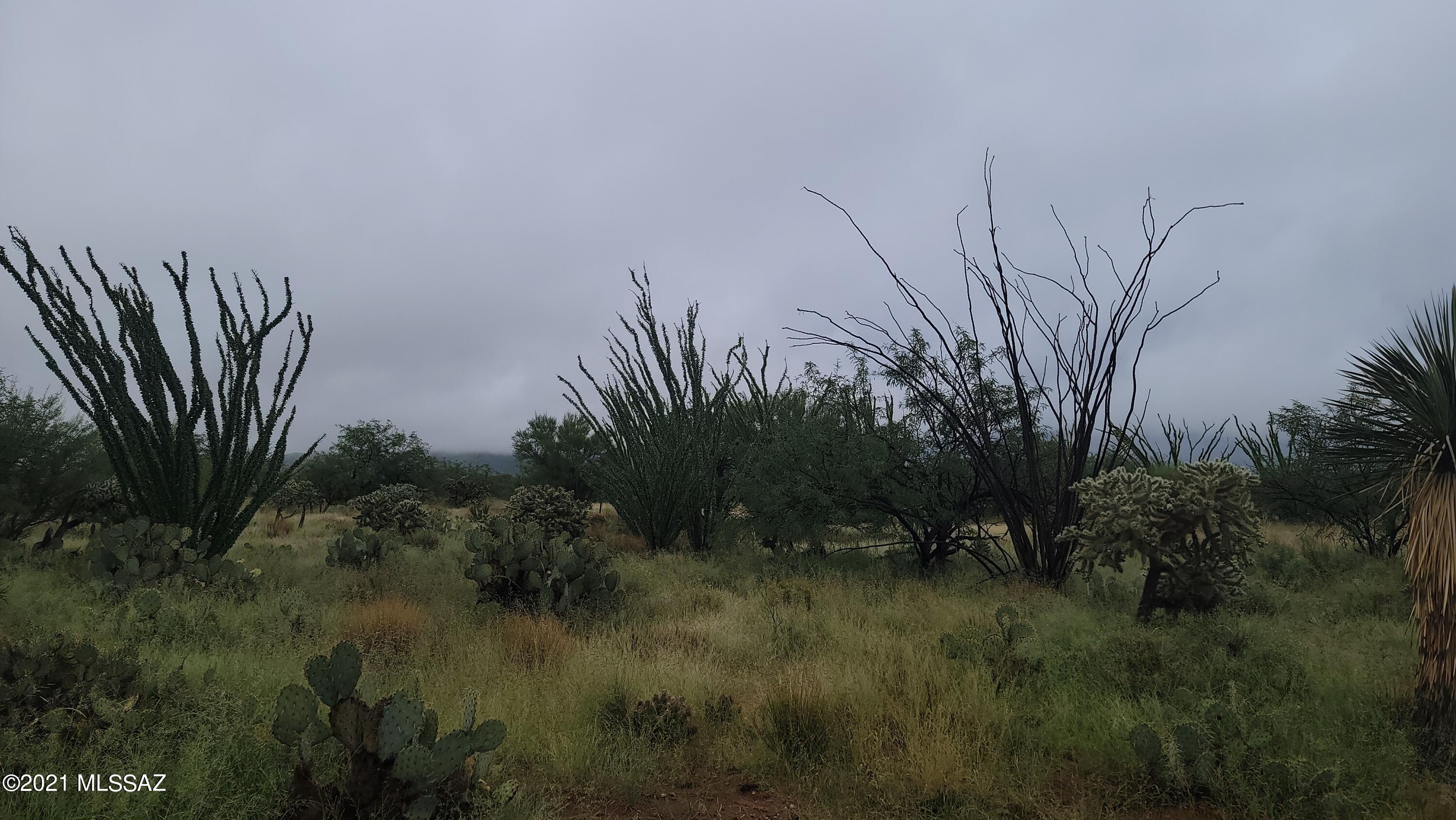 Diamond Bell Ranch - Tucson Unit 8 (1-385) - Land