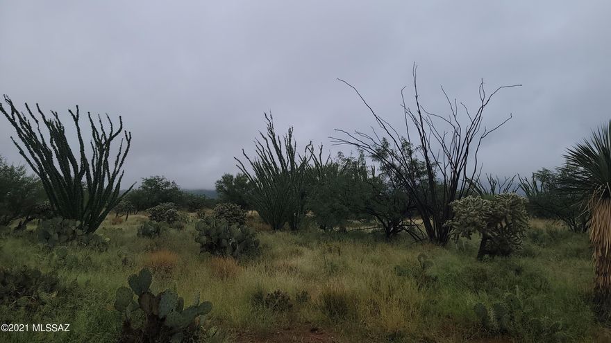 Enjoy this 1.30-acre lot in Diamond Bell Ranch, with mountain views and gorgeous sunsets. No neighbors for miles, currently. Road access was just re-established. Live off the grid for now, as the area is quickly showing the potential to being developed. Buy now before the prices go up.