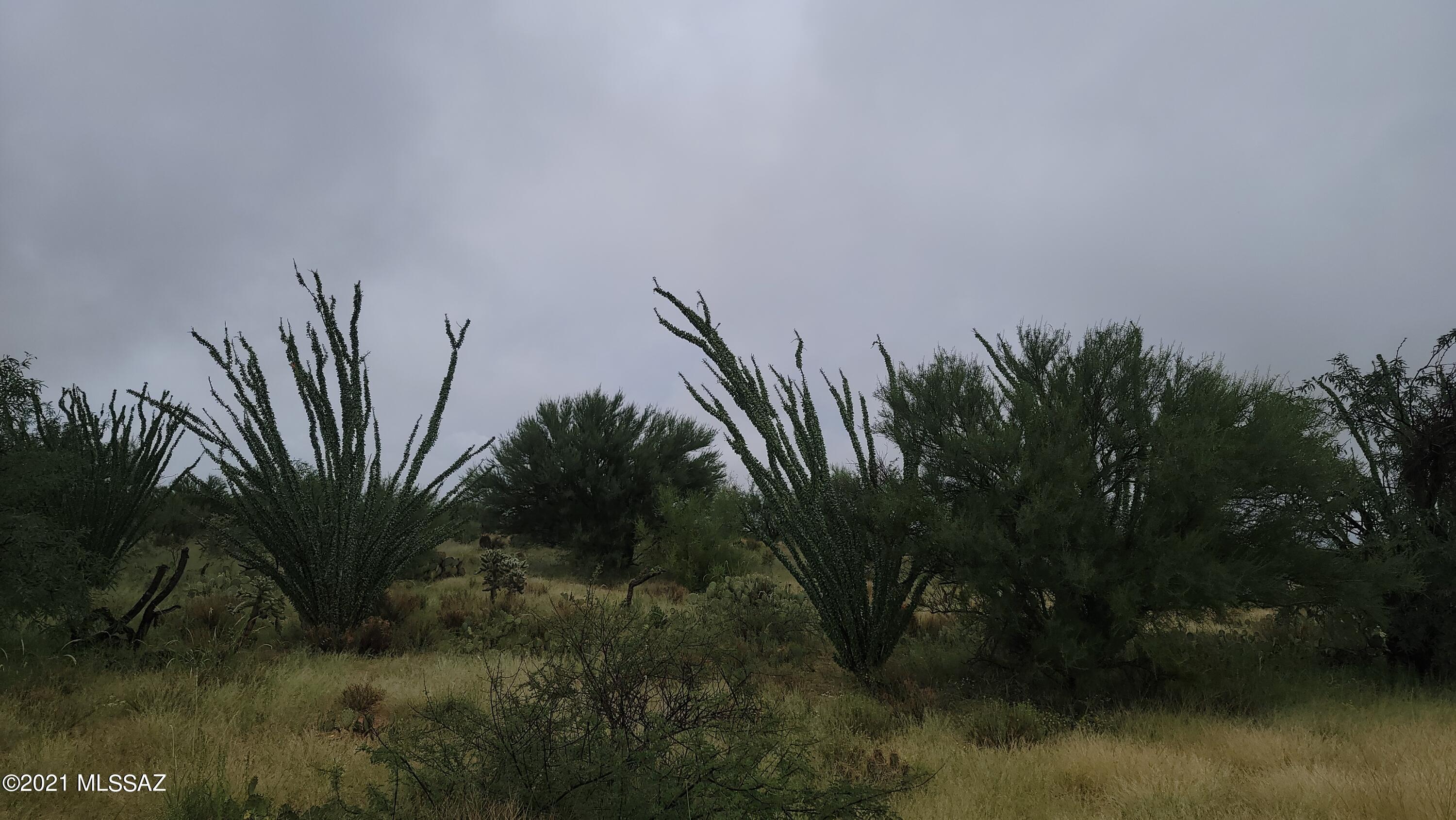 Diamond Bell Ranch - Tucson Unit 8 (1-385) - Land