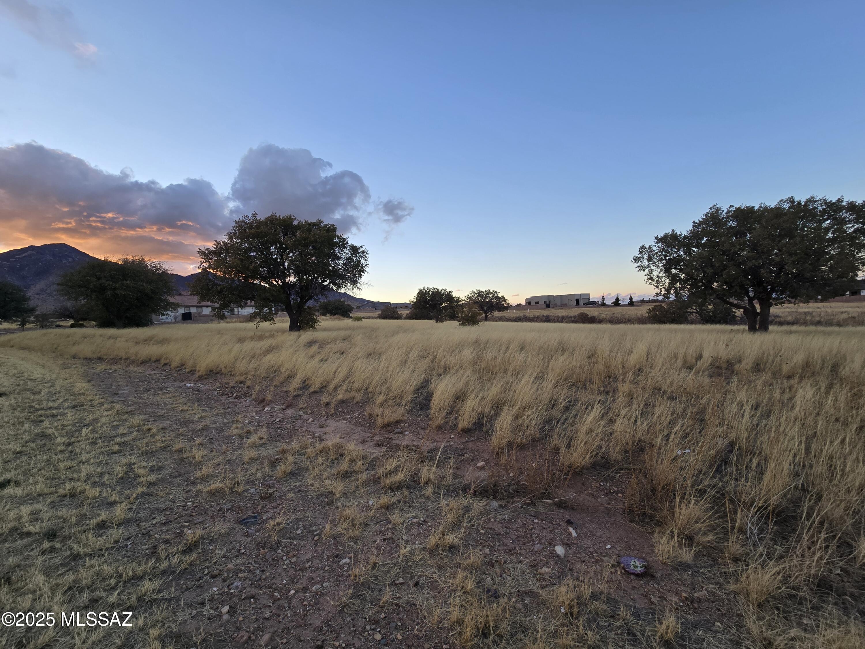 Kings Ranch at Coronado - Land