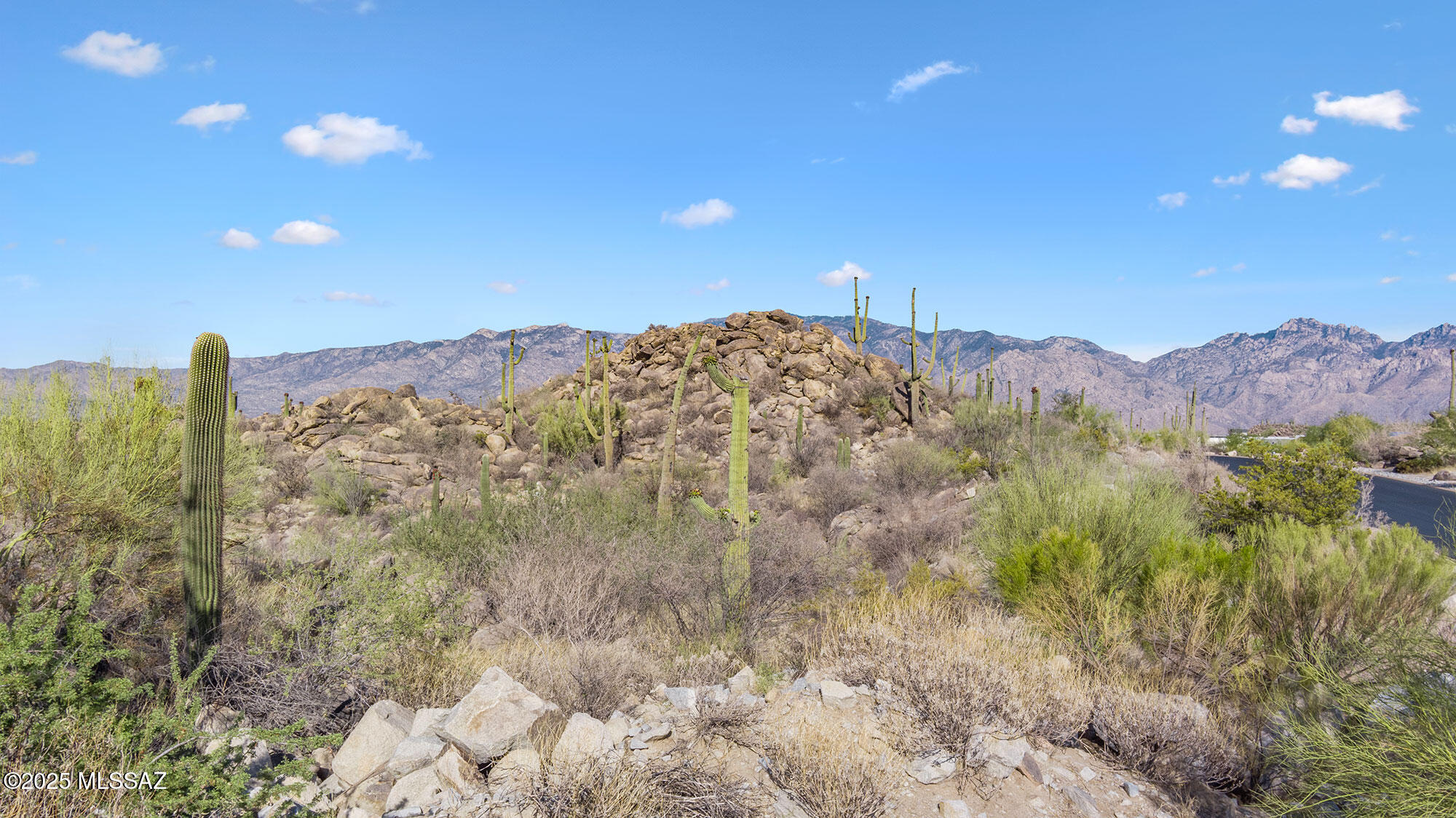 Stone Canyon VII (404-485) - Land