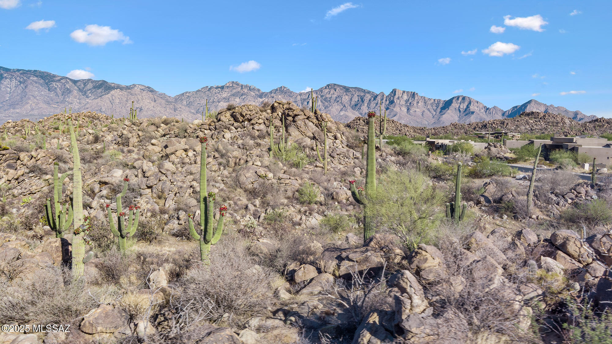 Stone Canyon VII (404-485) - Land