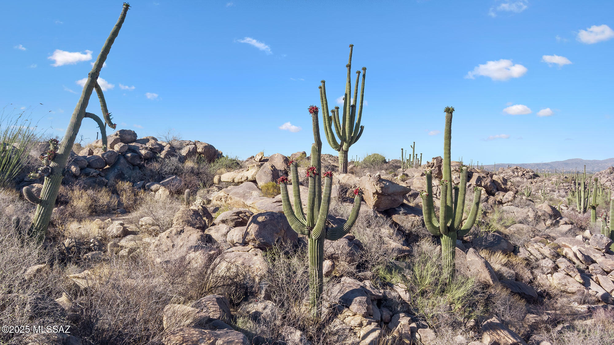 Stone Canyon VII (404-485) - Land