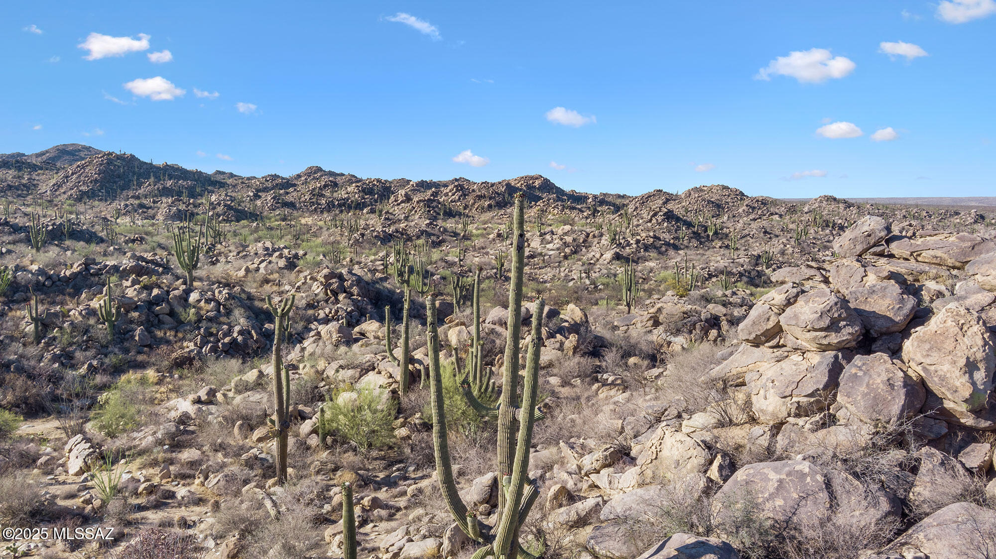 1429 W Tortolita Mountain Ci Circle W 469
