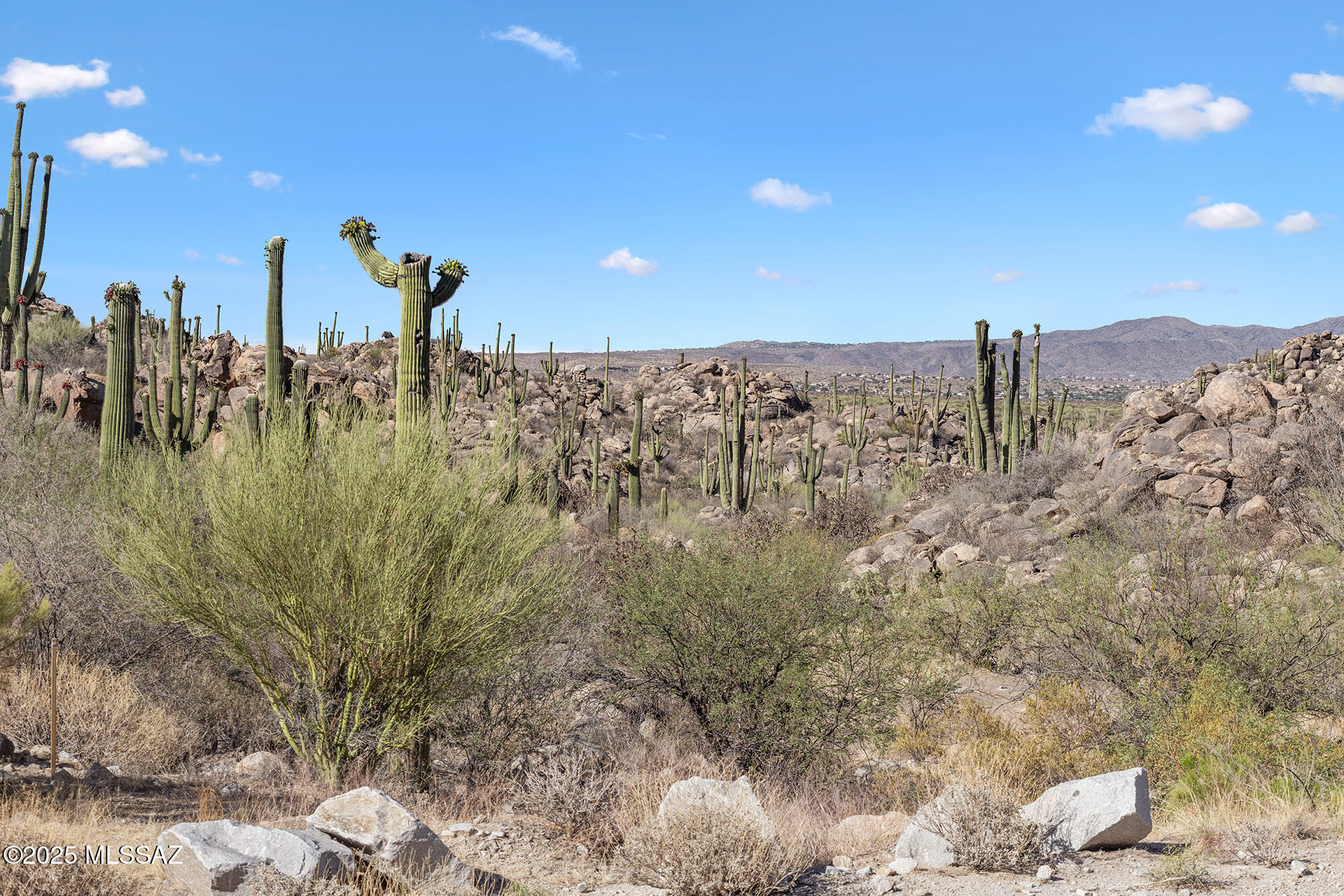 Stone Canyon VII (404-485) - Land