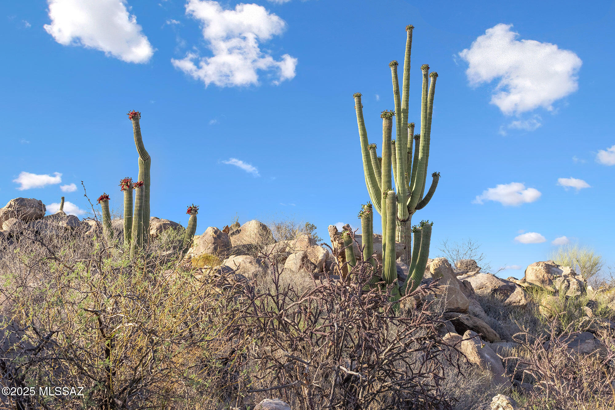 Stone Canyon VII (404-485) - Land