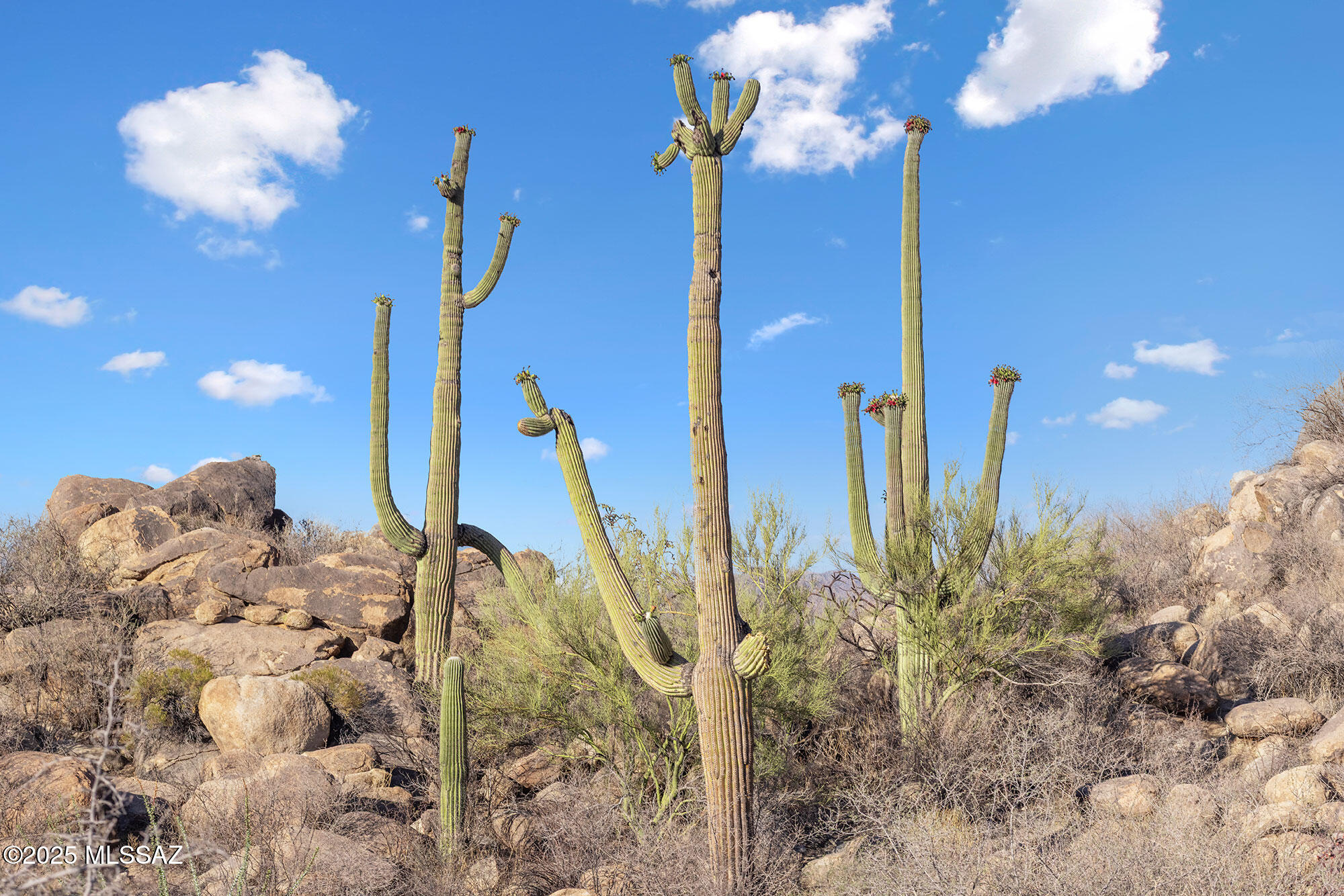 Stone Canyon VII (404-485) - Land