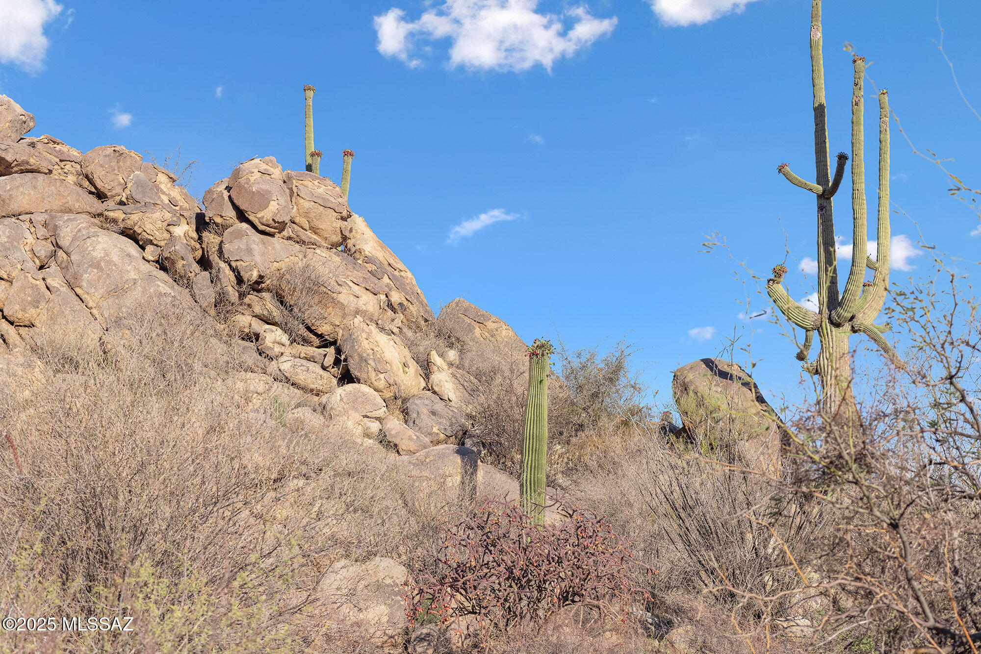 1429 W Tortolita Mountain Ci Circle W 469