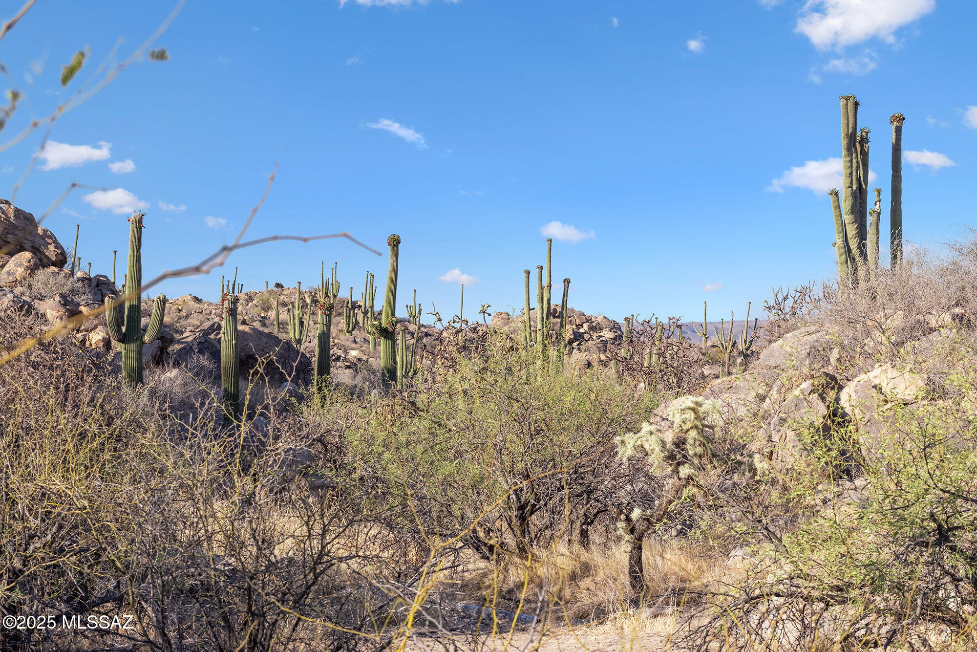 Stone Canyon VII (404-485) - Land