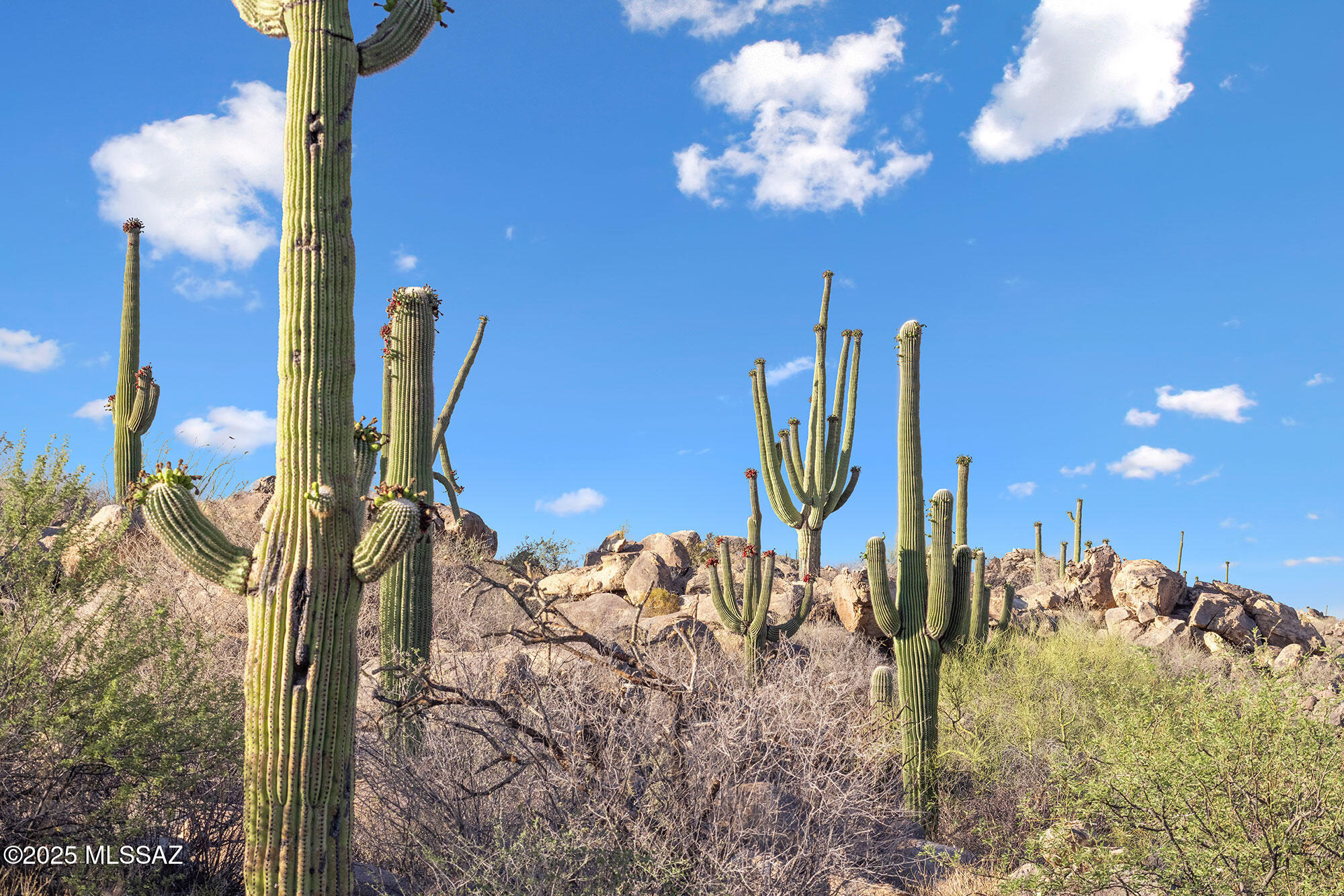 Stone Canyon VII (404-485) - Land