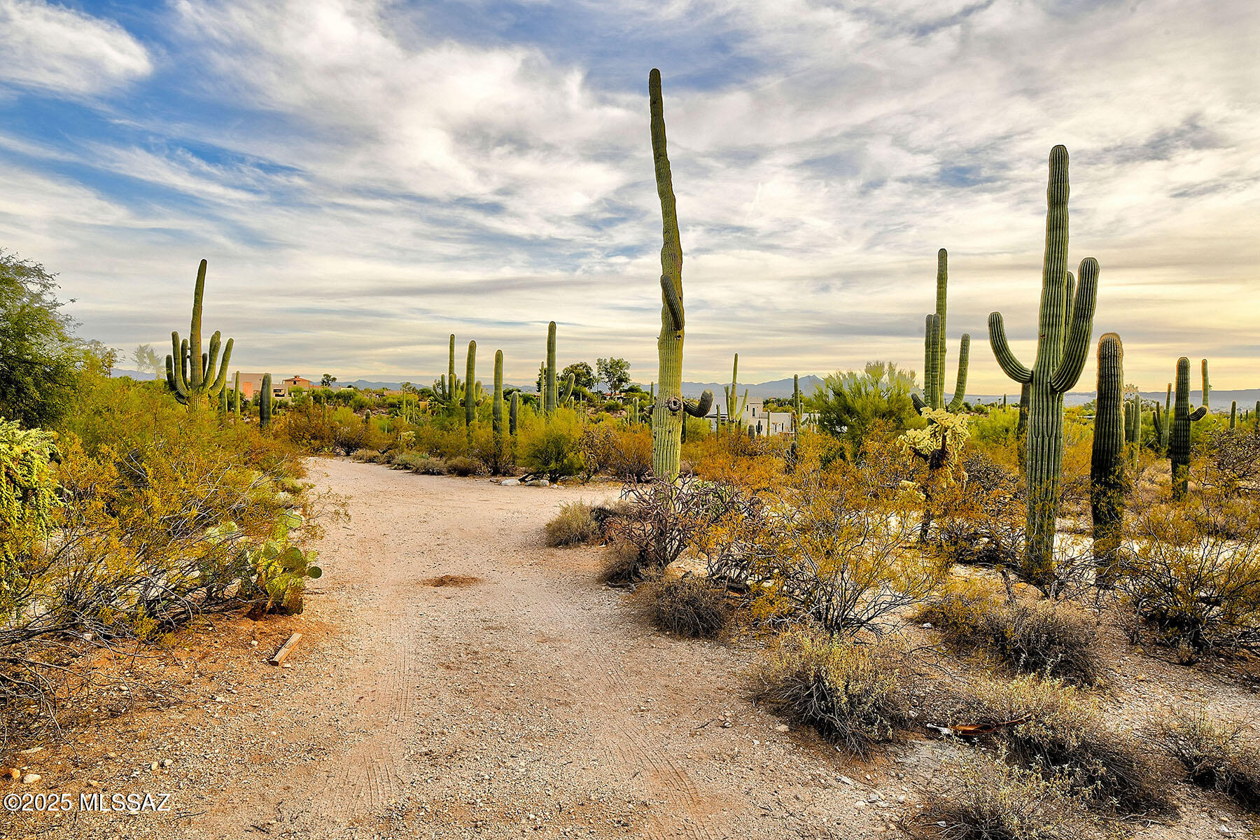 Catalina Foothills Estates - Residential