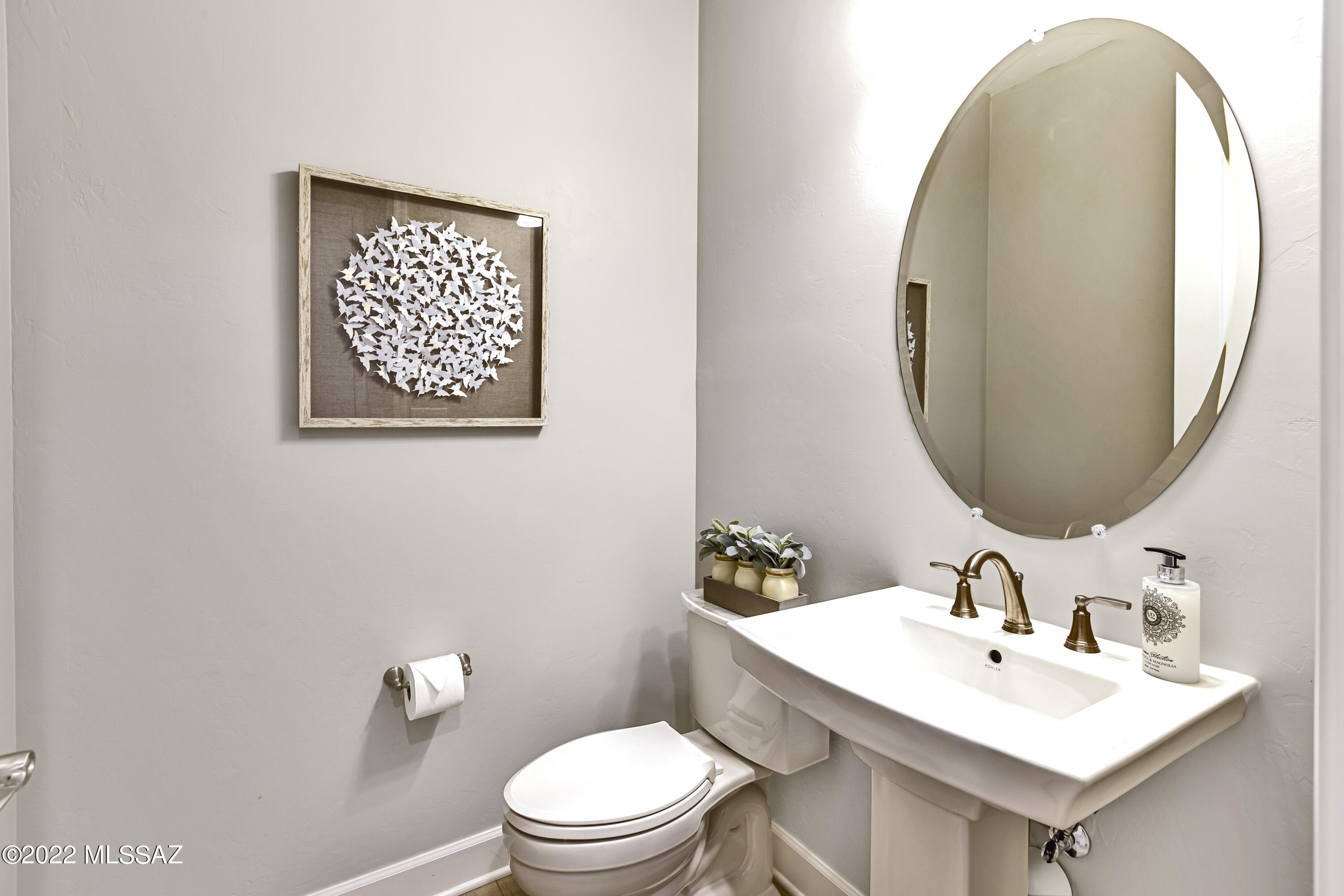 Saddlebrooke Ranch - Residential
