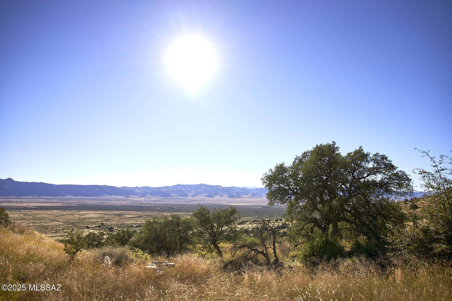 Out Of Pima County - Land