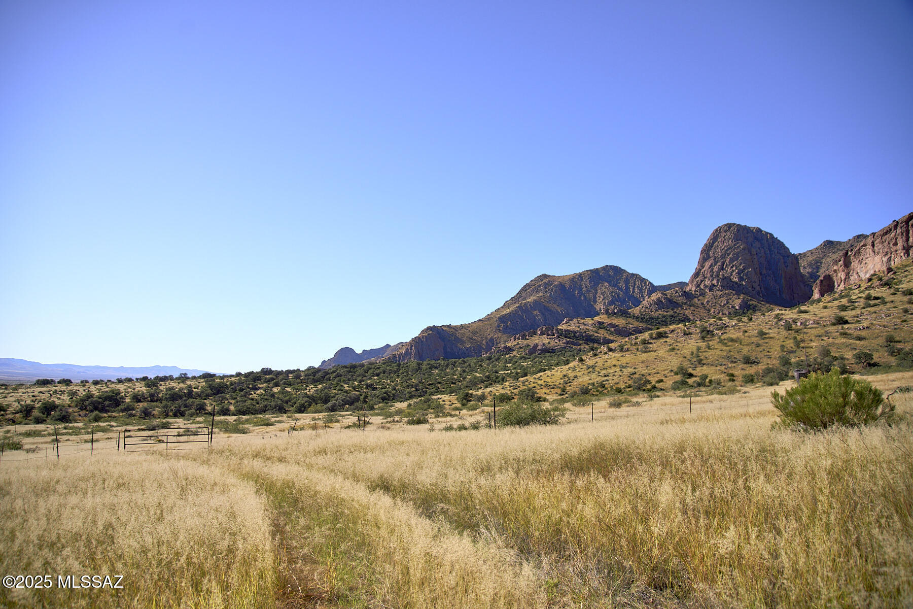Out Of Pima County - Land