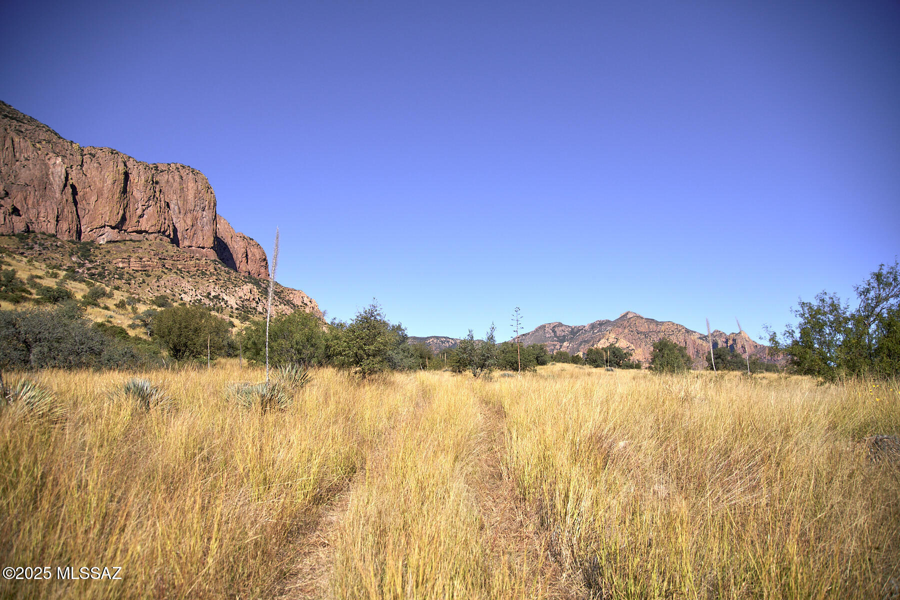 Out Of Pima County - Land
