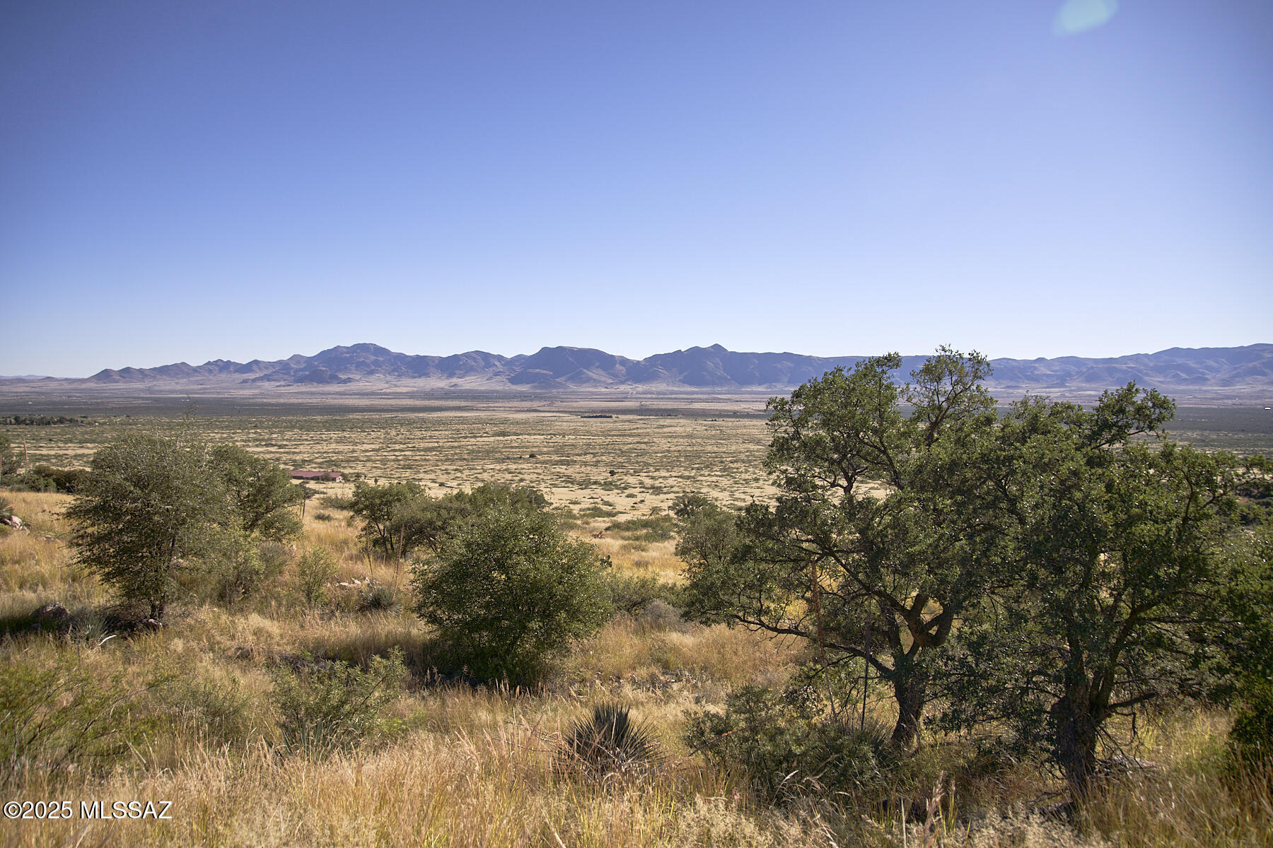 Out Of Pima County - Land