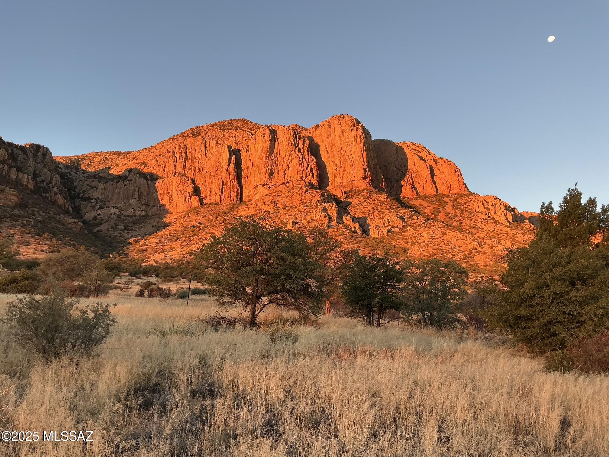 Out Of Pima County - Land