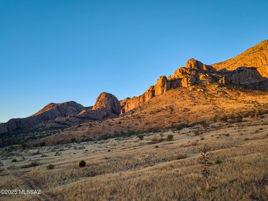 Secluded Private Canyon - Investment opportunity or Build your dream home at 5000' ft elevation in the foothills of the Chiricahua Mtns. Property is fenced, gated. Spectacular sunrise views of the Peloncillos from this property. Ideal spot for horseback riding into adjacent Nat. Forest. 3/4 of roads cleared, 3 pads/build sites. Abundant wildlife, 150+ oak trees, barrel cactus, manzanita, cholla, ocotillo, agave. Hill side bluffs & jaw dropping views. RU-4 Zoning, Dividable Lot. Fence splits south 25 acres and north 14 Acres. Portal is known for its spectacular mountain views, outdoor recreation, birding, herping, & dark night skies. Road access to southeast corner of property.  Call for Seller Financing Terms.