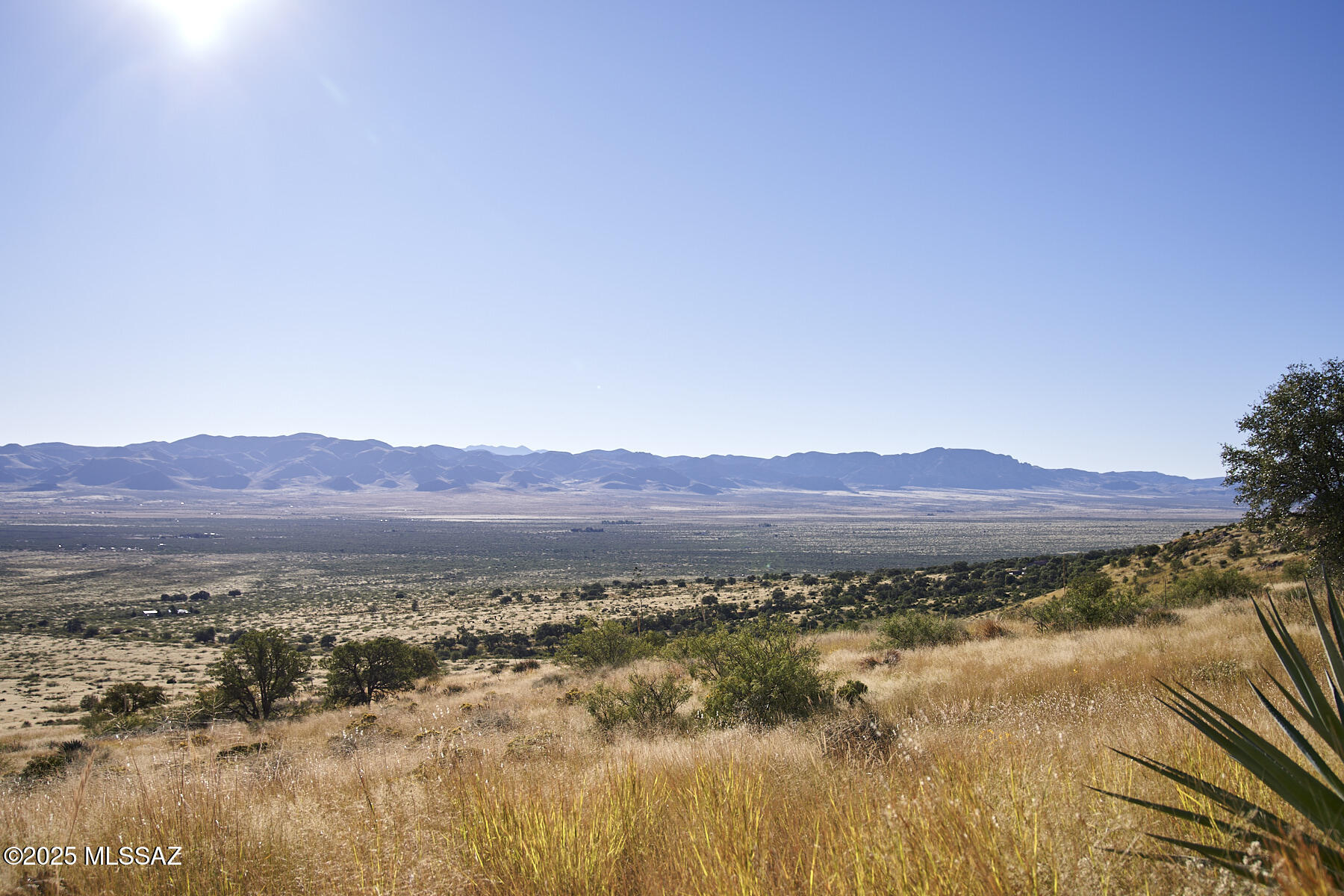 Out Of Pima County - Land
