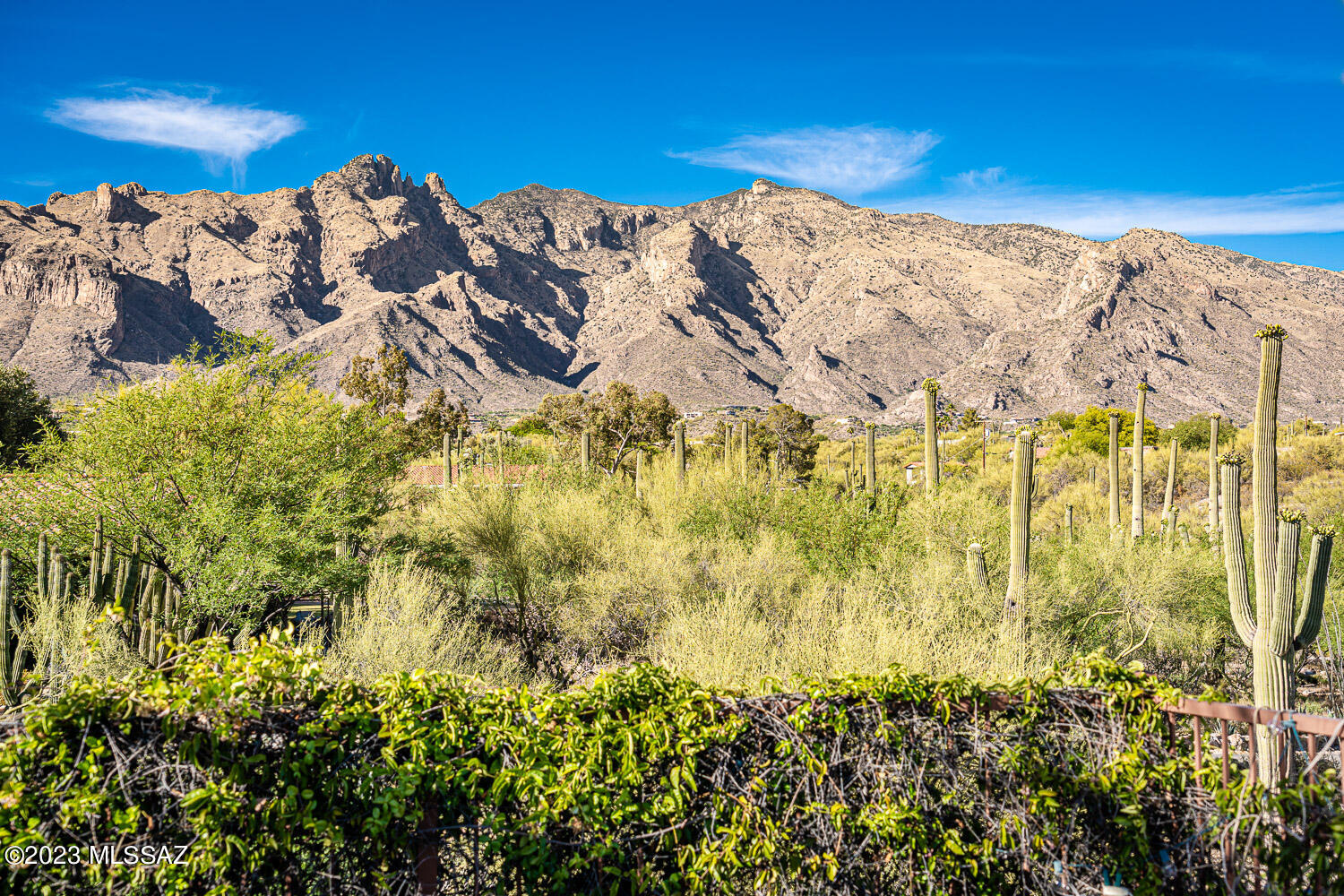 Catalina Foothills Estates NO. 5 - Residential
