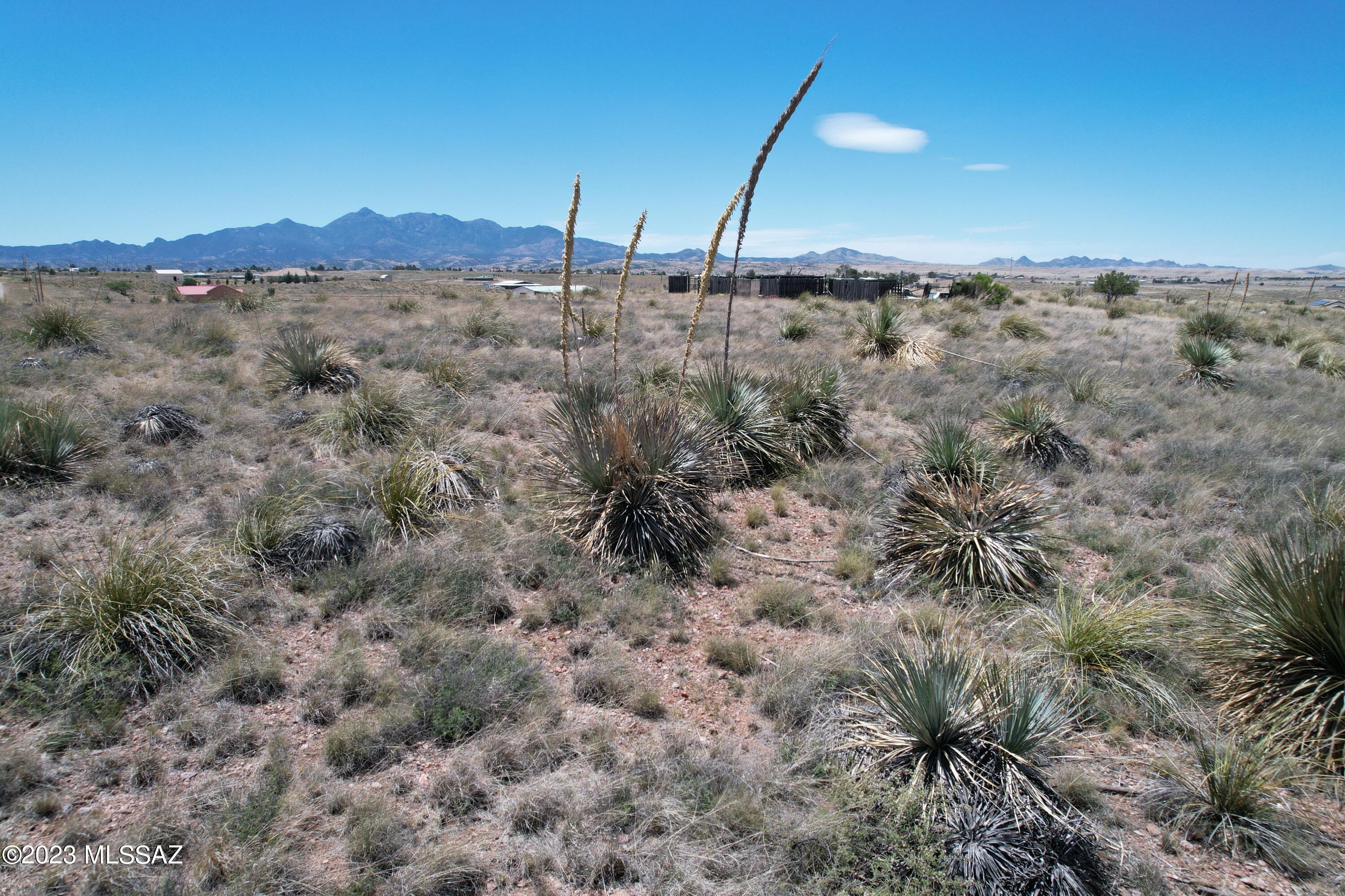 Sonoita Hills - Land