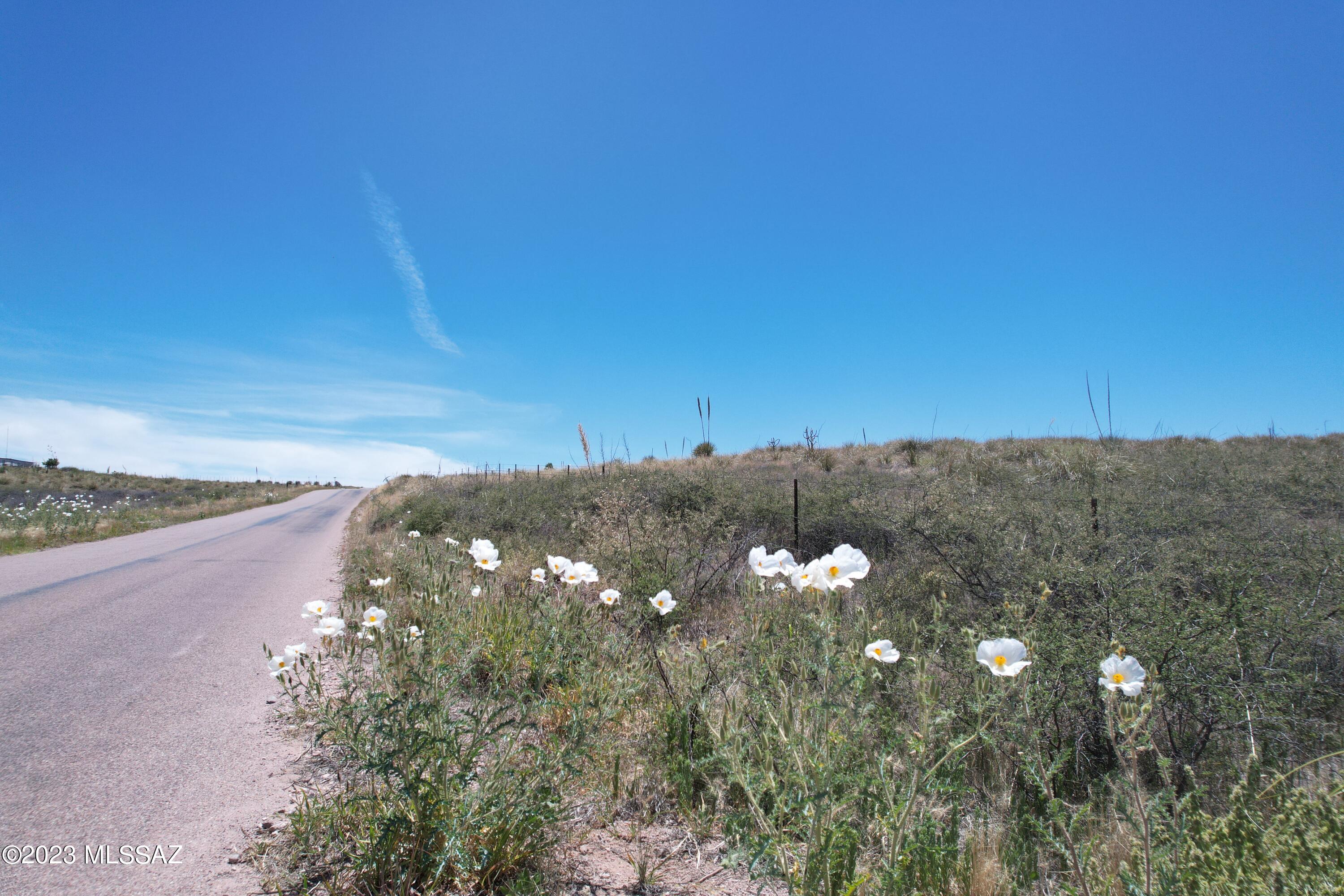 Sonoita Hills - Land