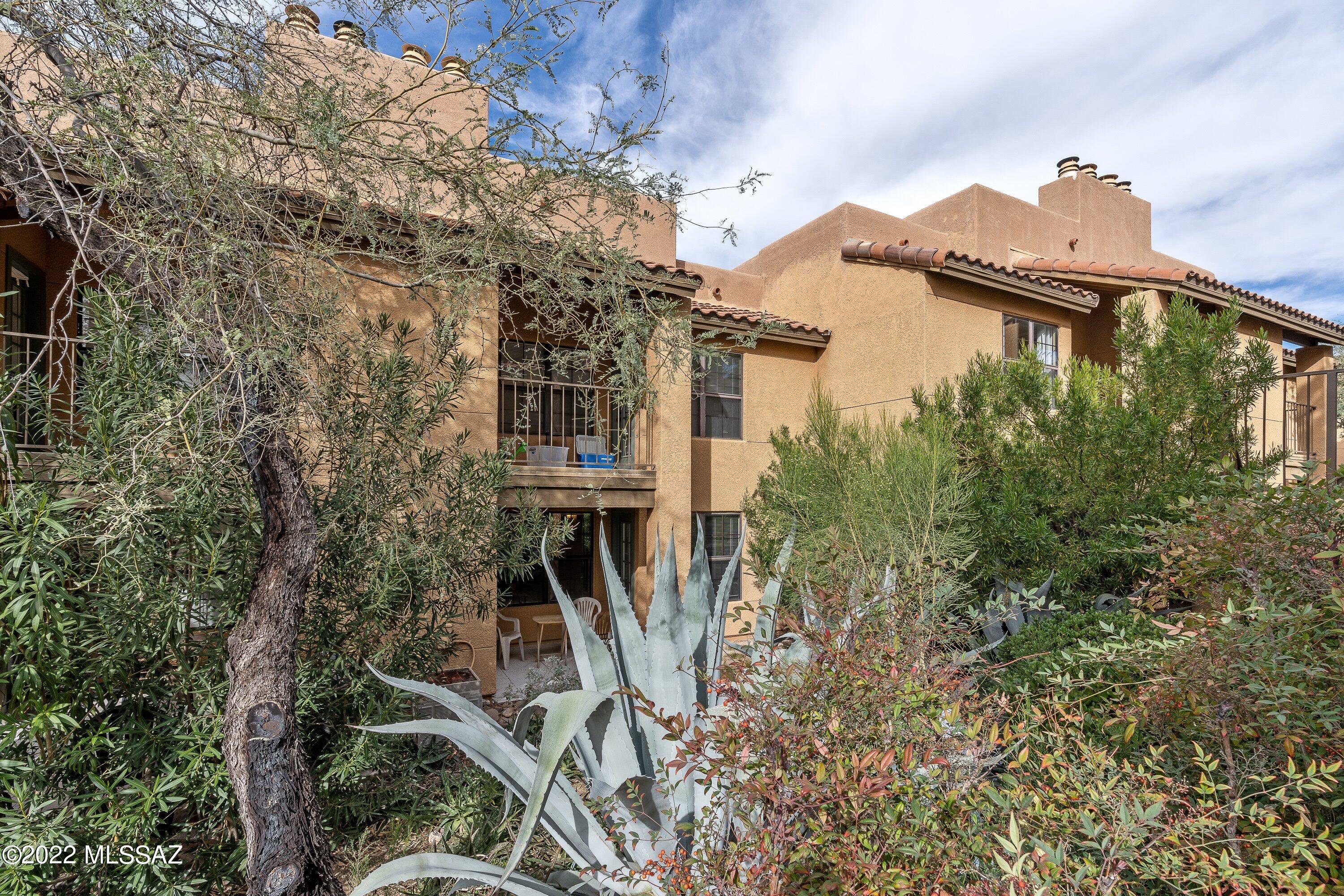 6651 N Campbell Avenue 141