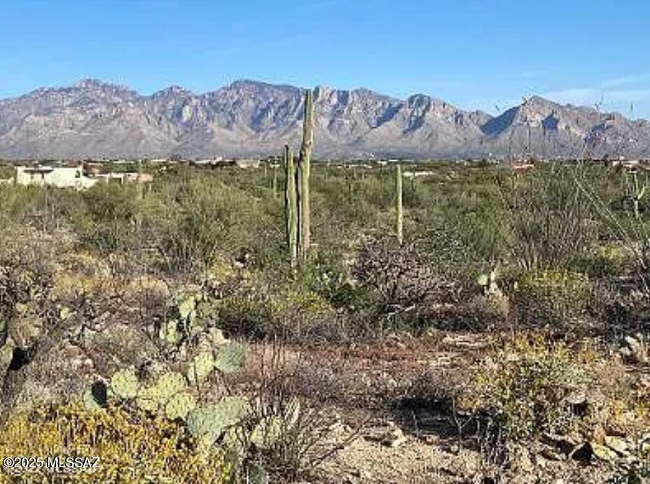 N Gibson Trail Trail