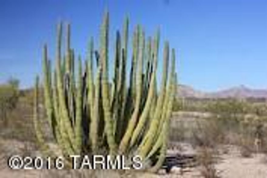 3.31 acres of land in Northeast Tucson. Lush landscaping on this buildable lot on a cul-de-sac in Ranchos De Los Saguaros. A flood plain analysis is available including a building permit for a 4,500 square foot home.