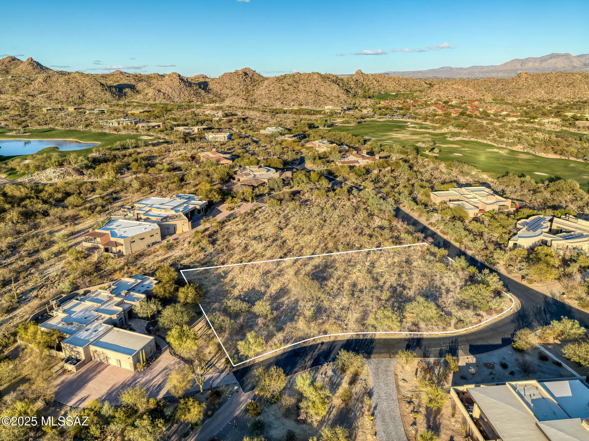 14191 N Giant Saguaro Place