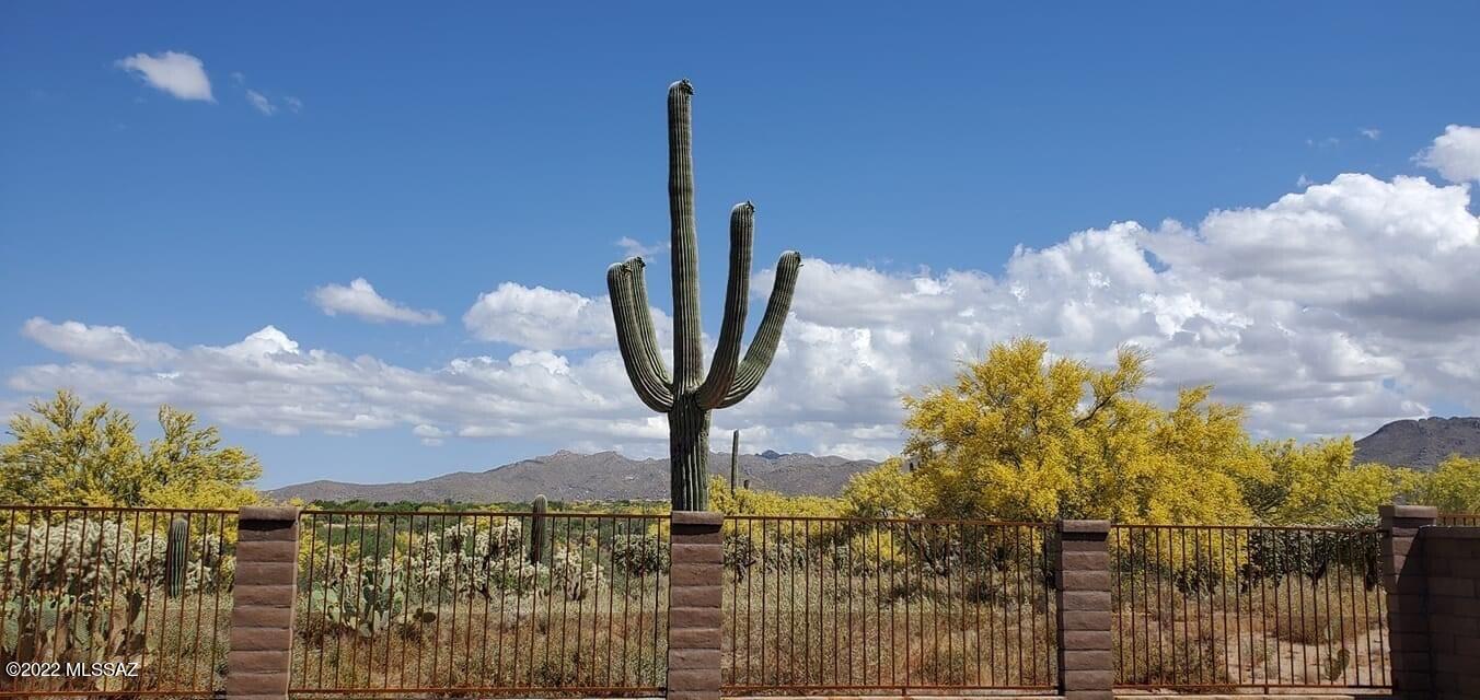 Preserve at Dove Mountain (1-182) - Residential