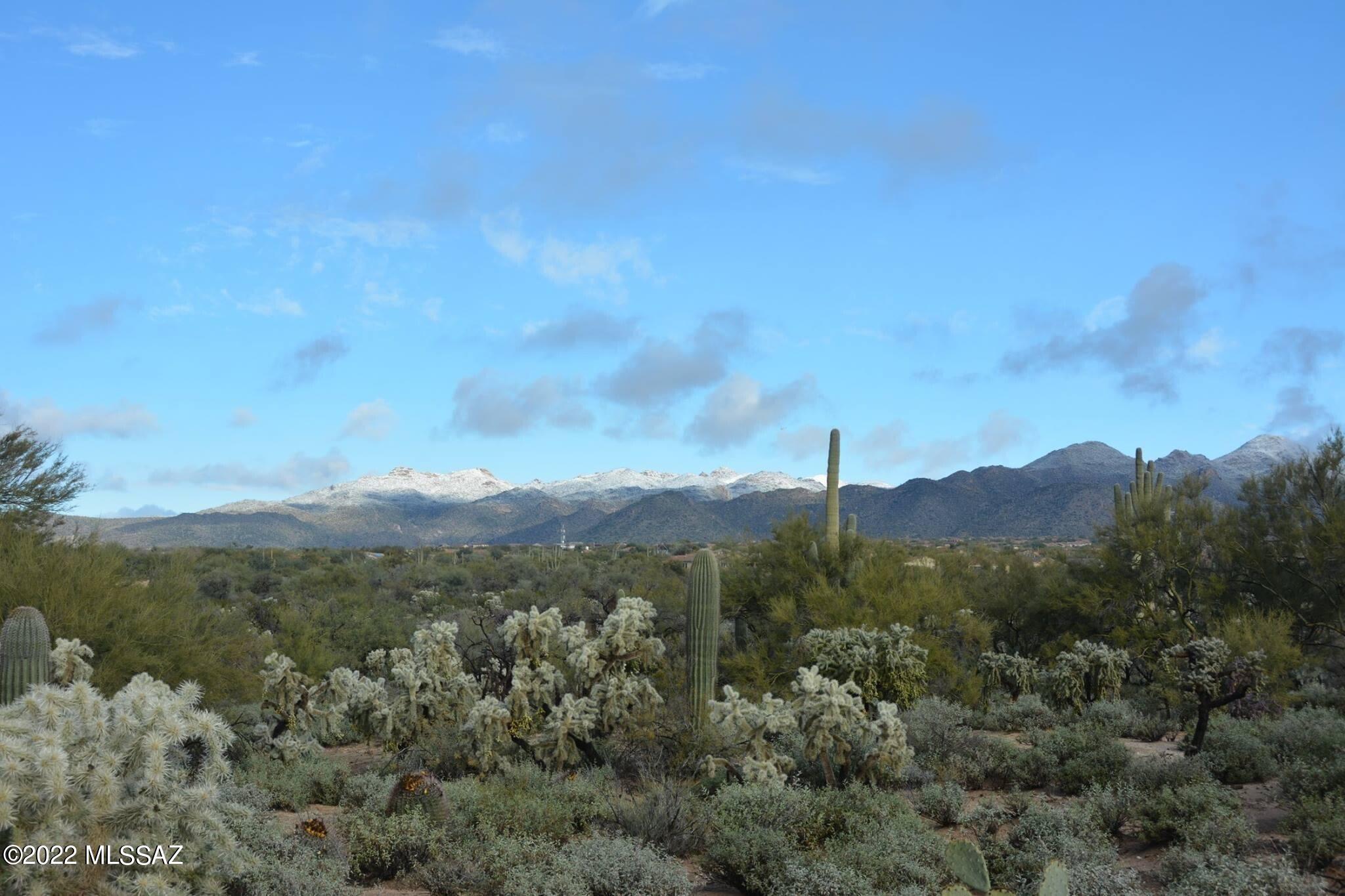 Preserve at Dove Mountain (1-182) - Residential
