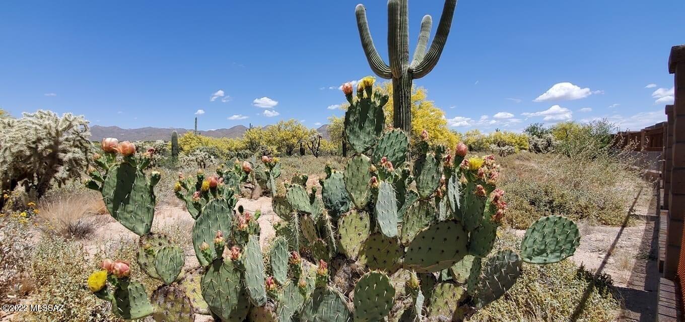 Preserve at Dove Mountain (1-182) - Residential