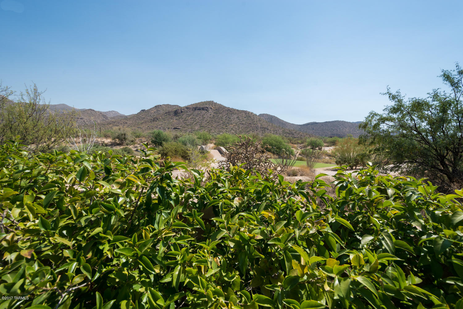 Dos Lagos at Dove Mountain (1-91) - Residential