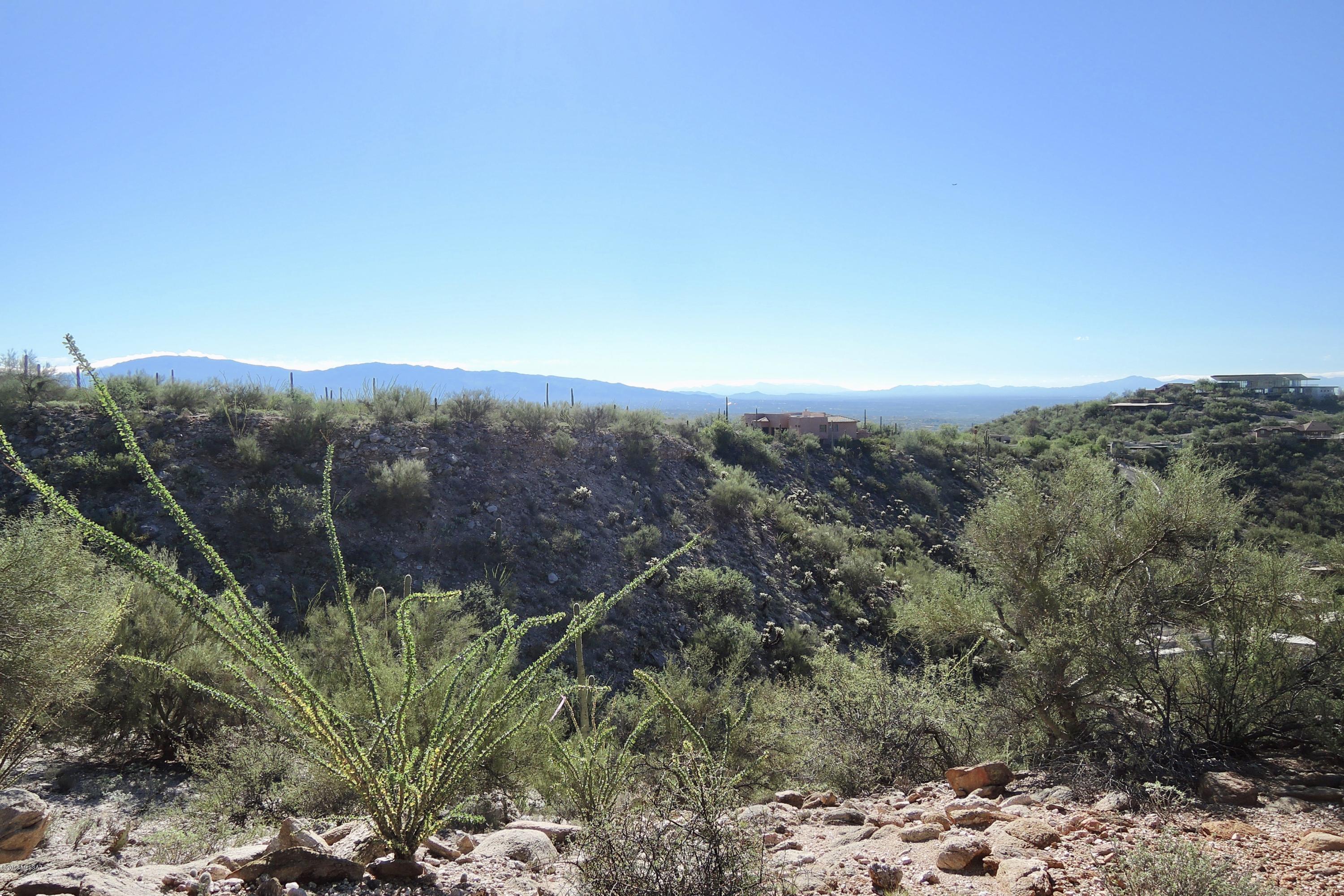Canyons (The) - Land