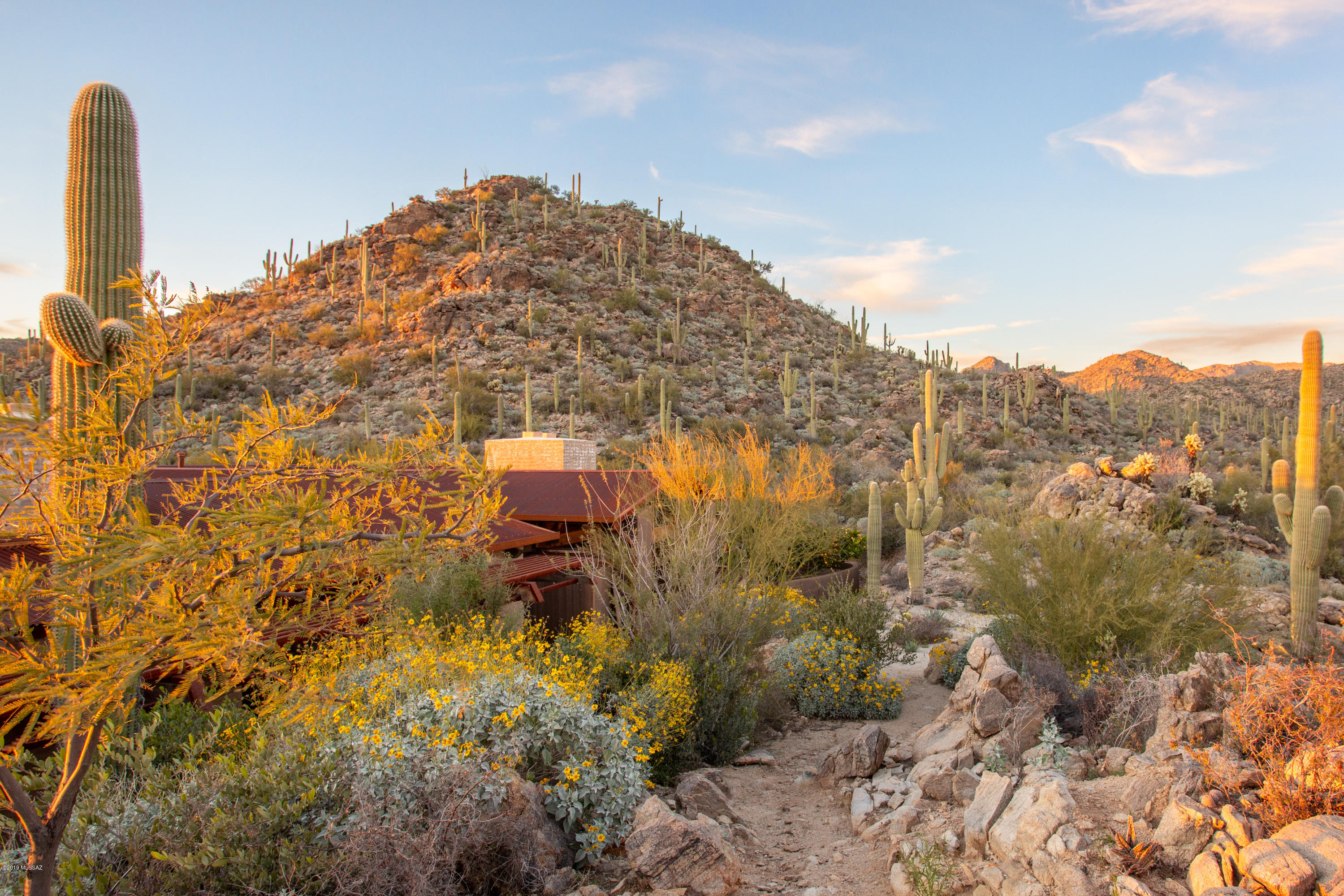 Saguaro Ranch South Amended - Residential