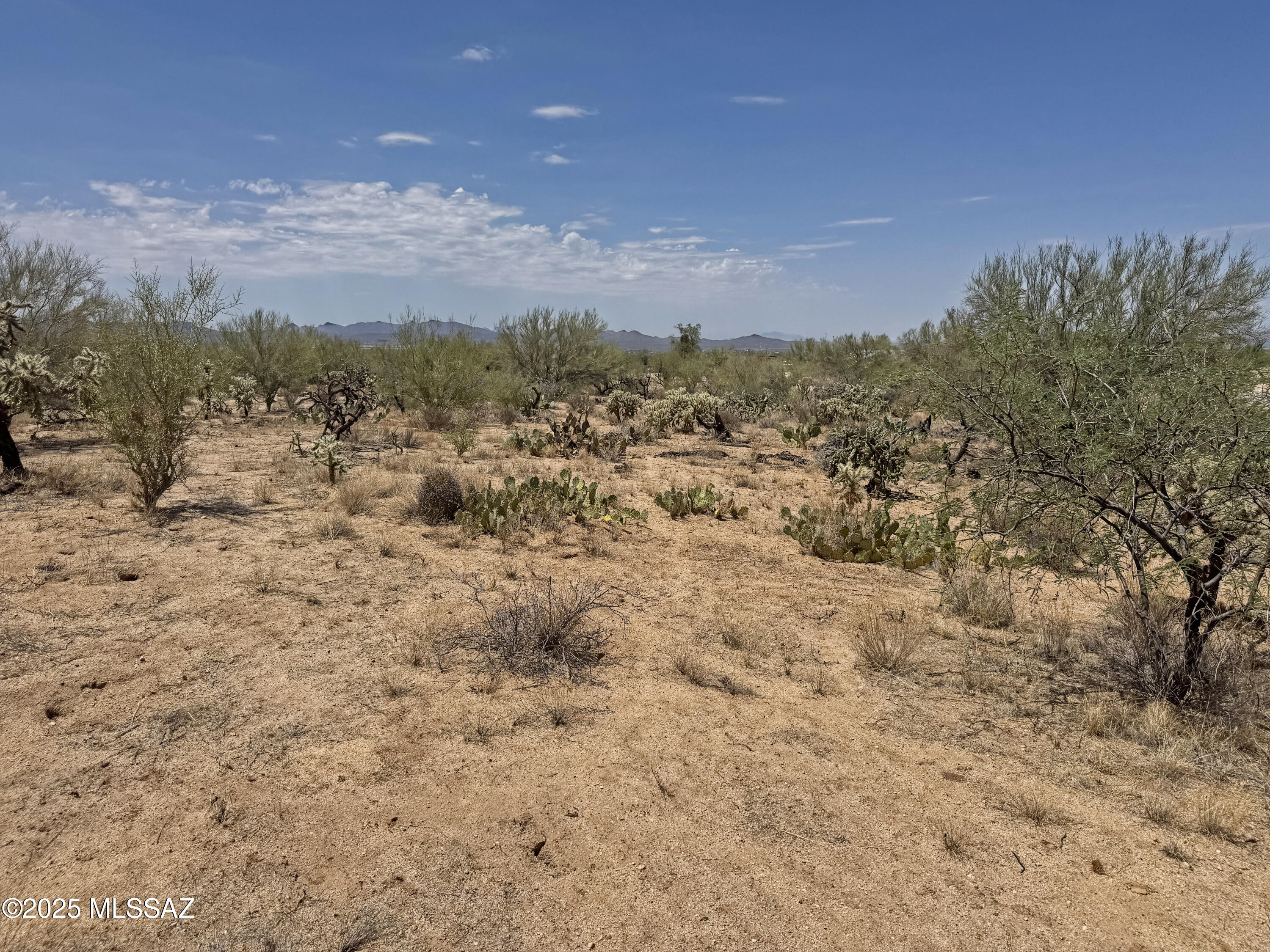 14943 W Parkin Lane