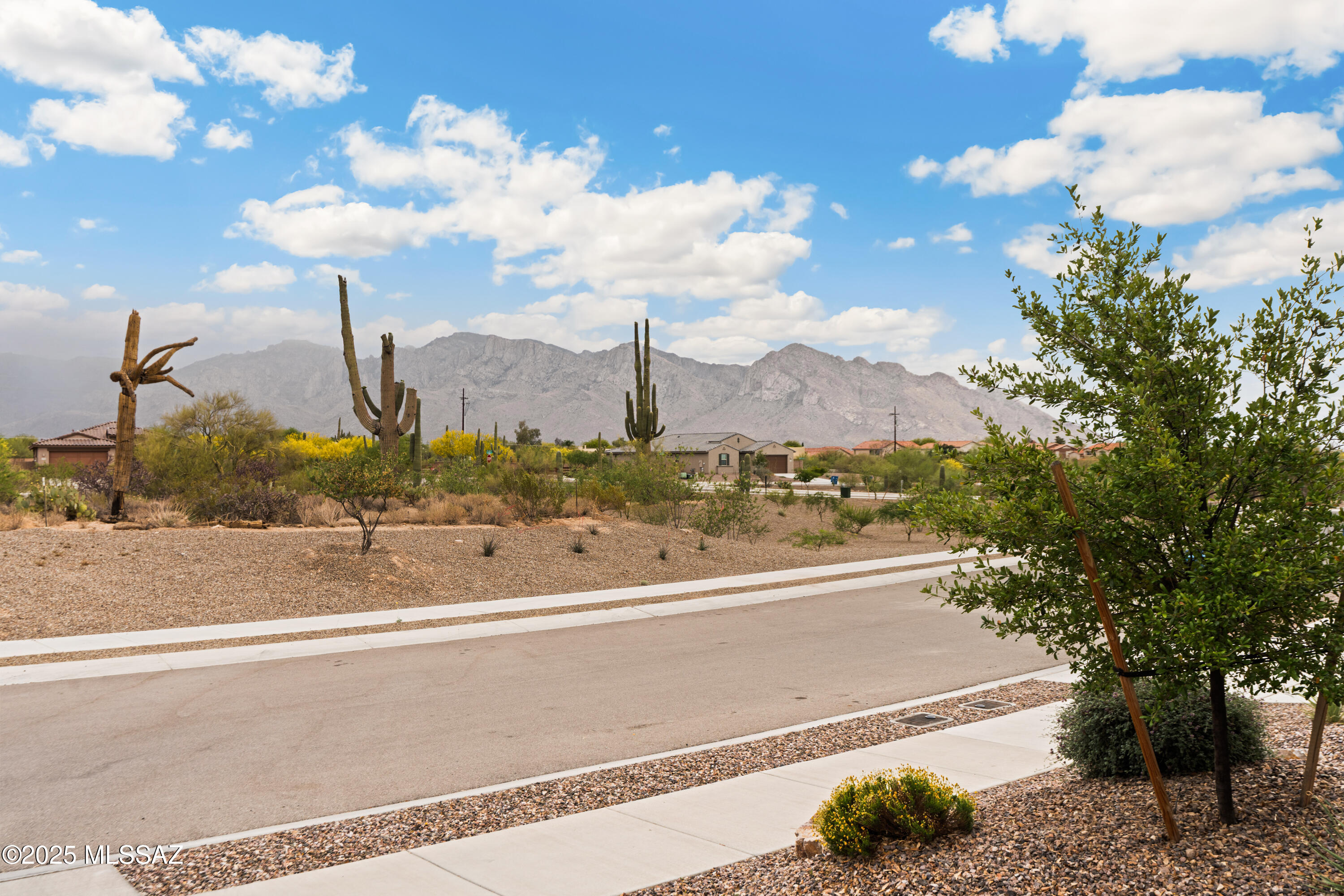 Saguaros Viejos East Phase 1 - Residential