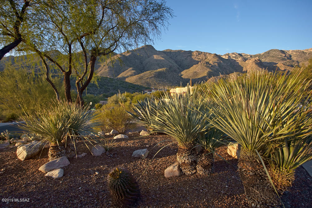 Alta Vista Estates (1-124) - Residential