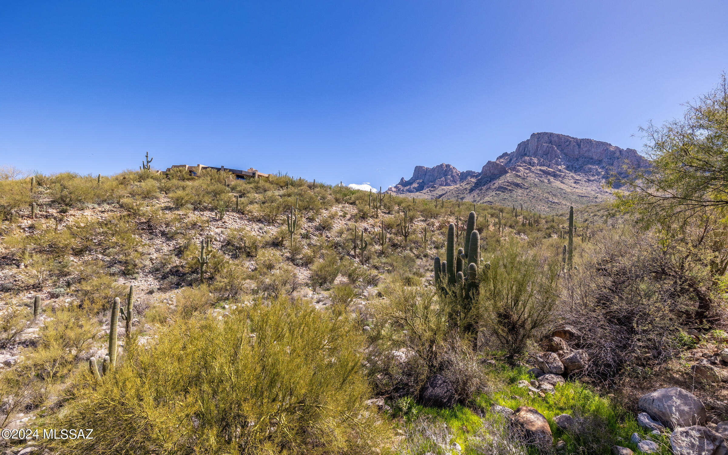 Bighorn Point At La Reserve (1-43) - Residential