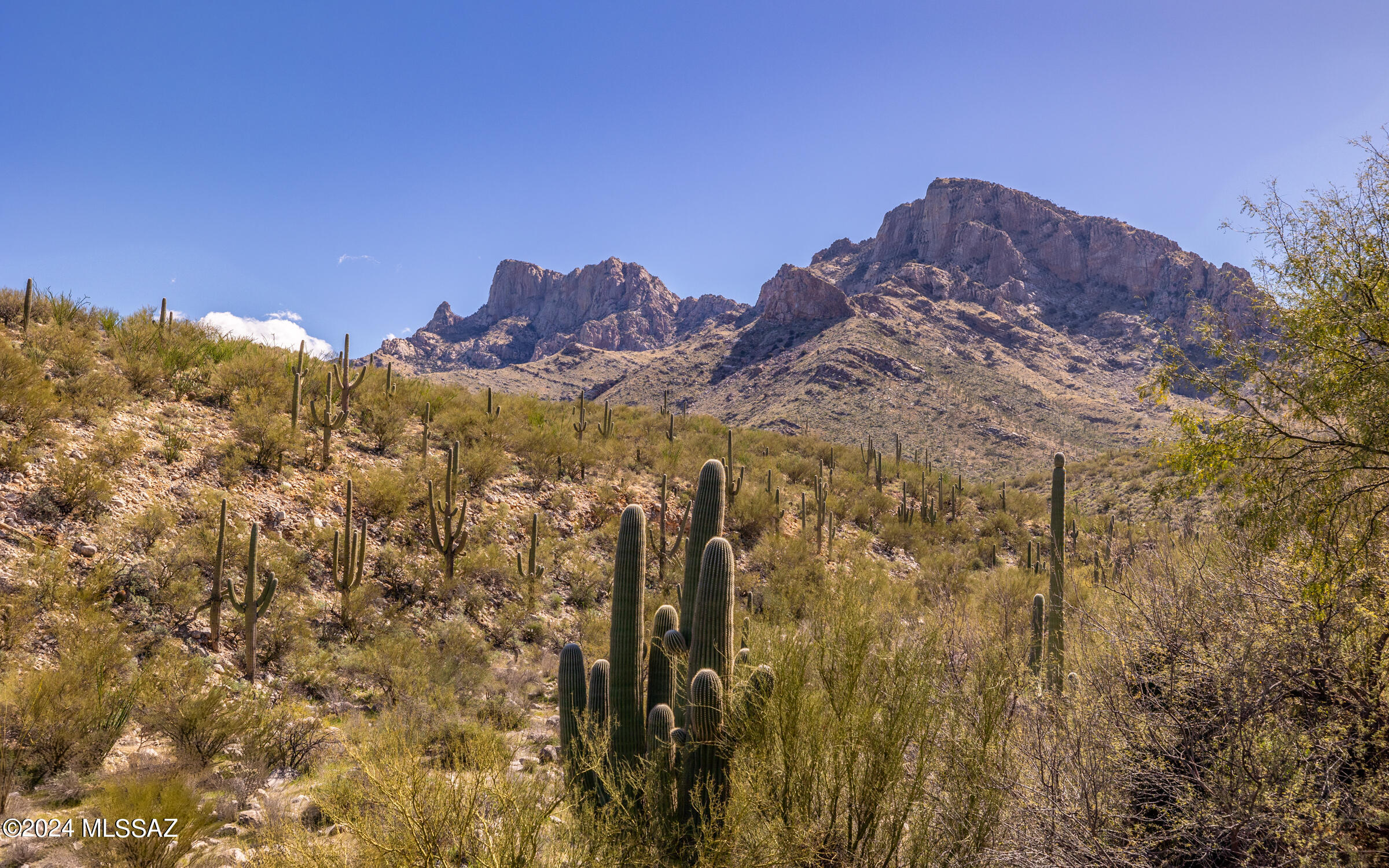 Bighorn Point At La Reserve (1-43) - Residential