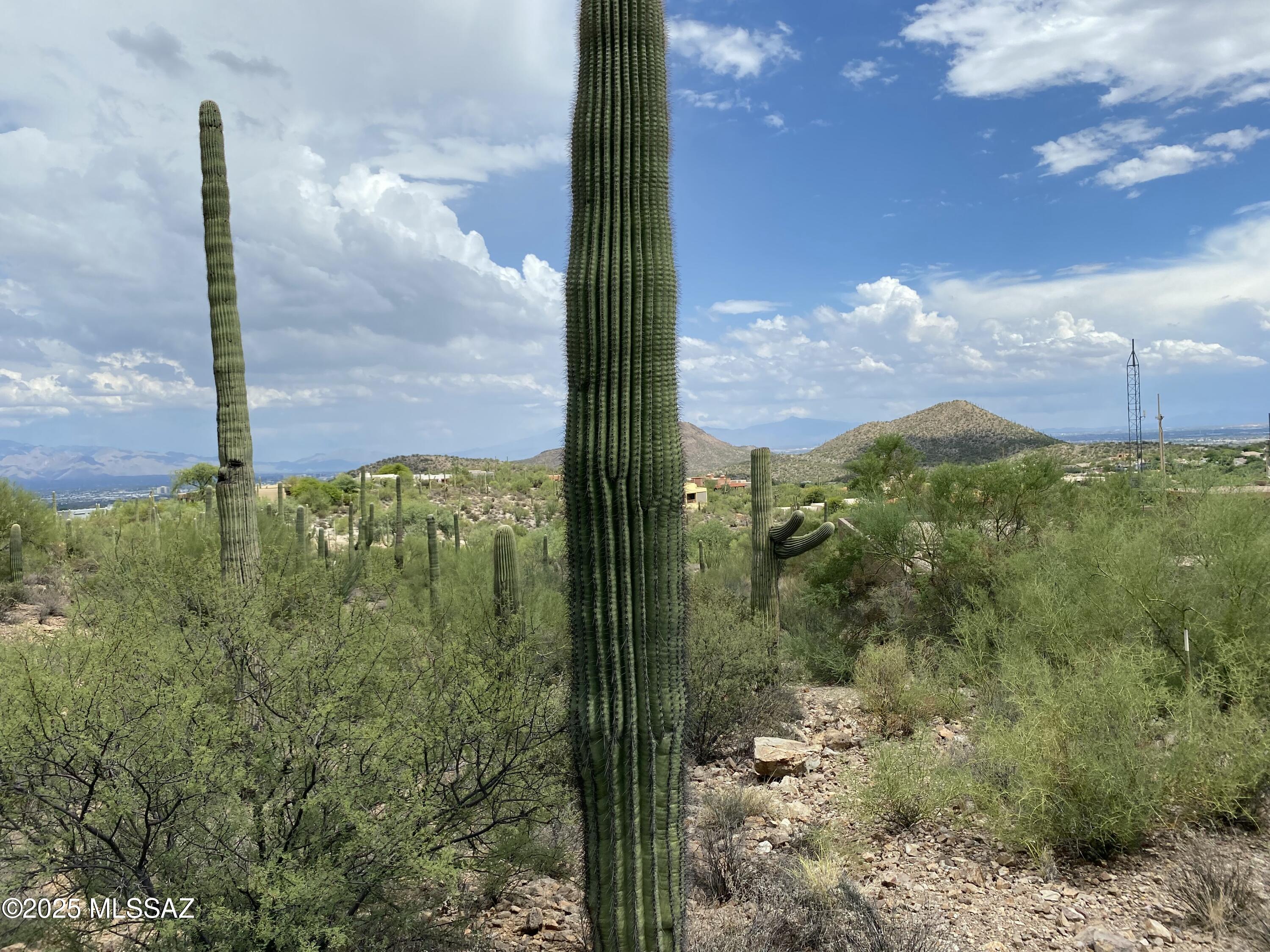 None - Land
