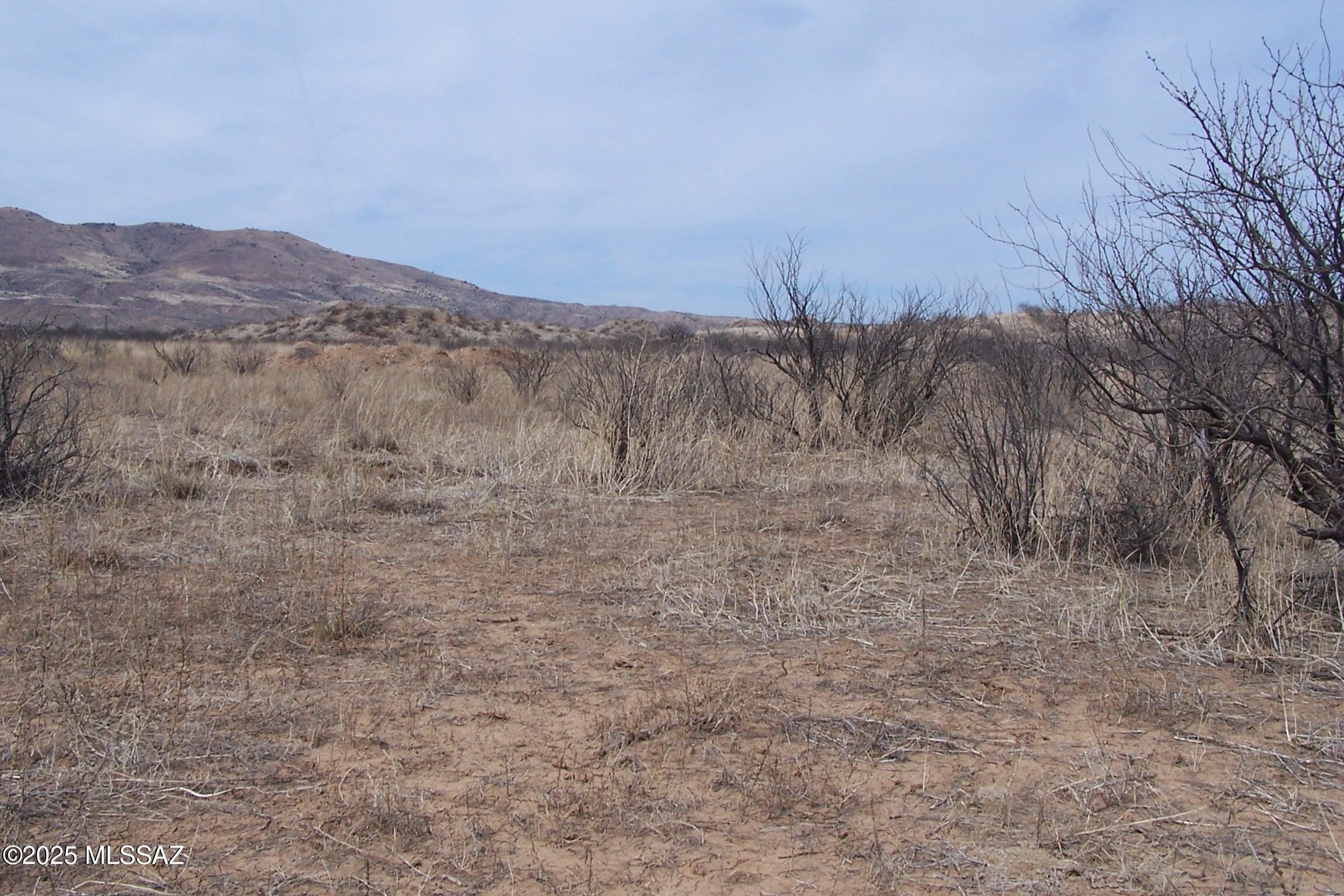 Out Of Pima County - Land