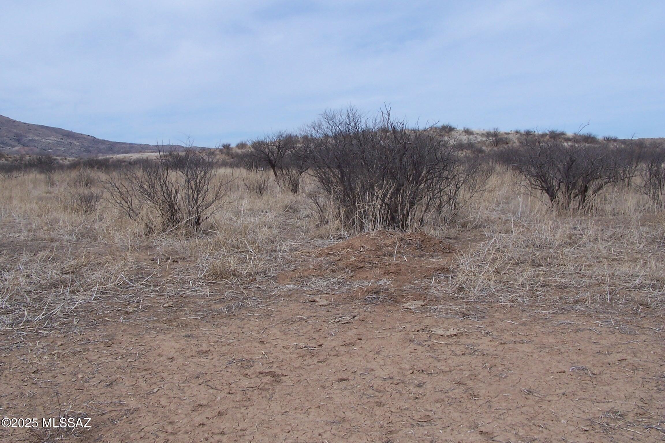Out Of Pima County - Land