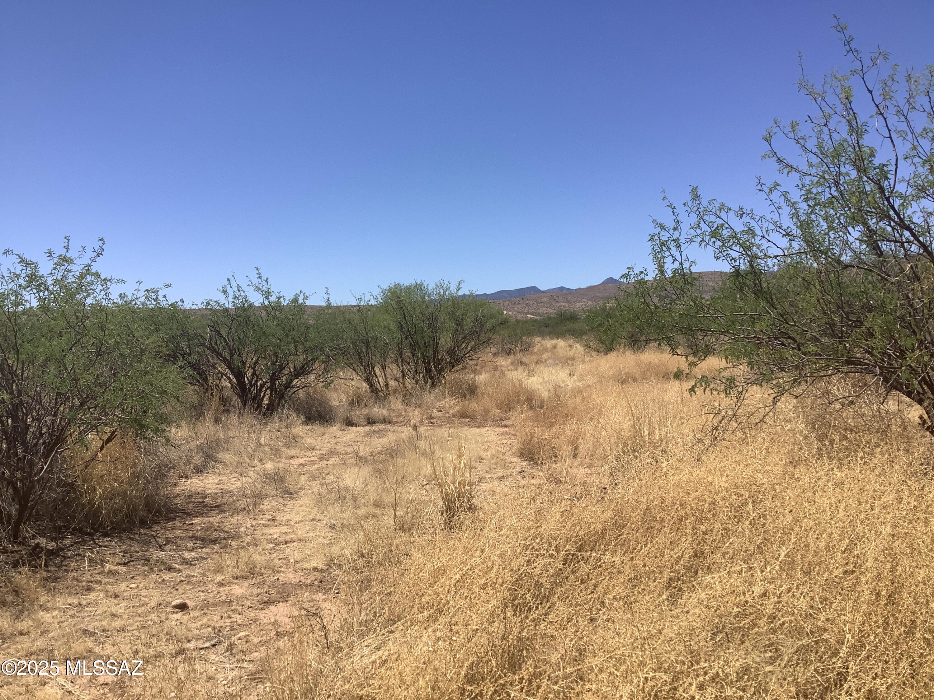 Out Of Pima County - Land