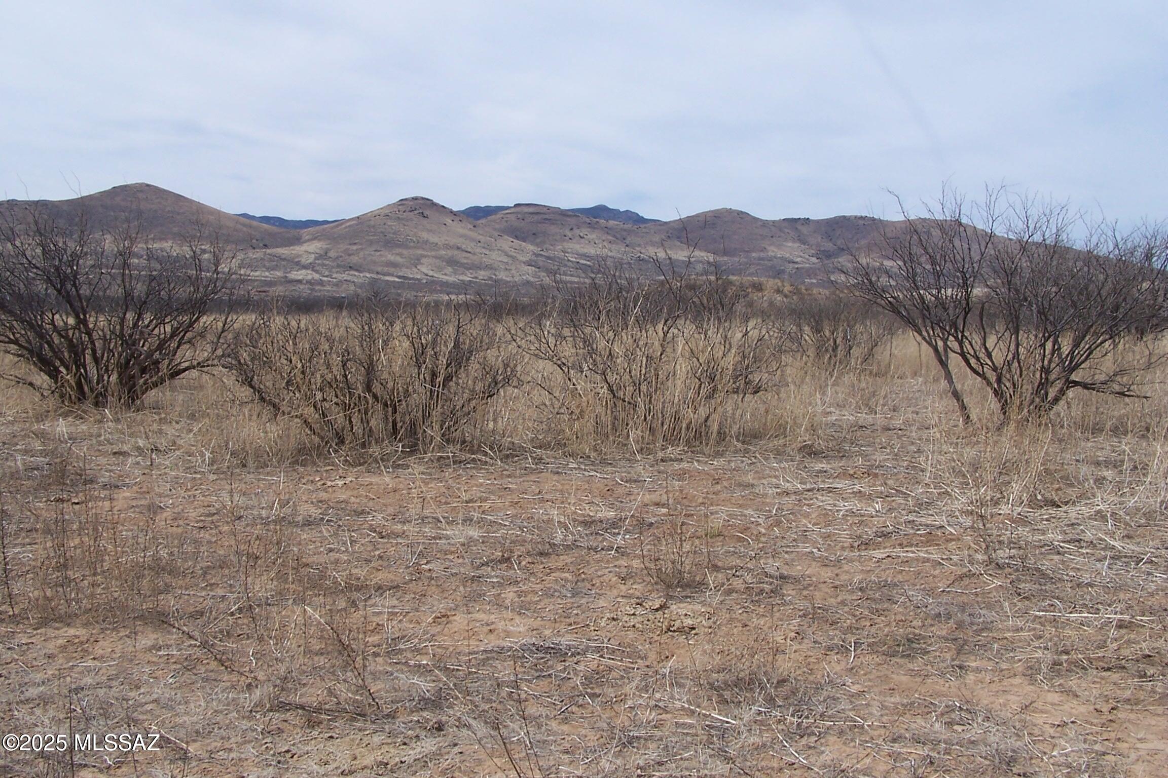 Out Of Pima County - Land